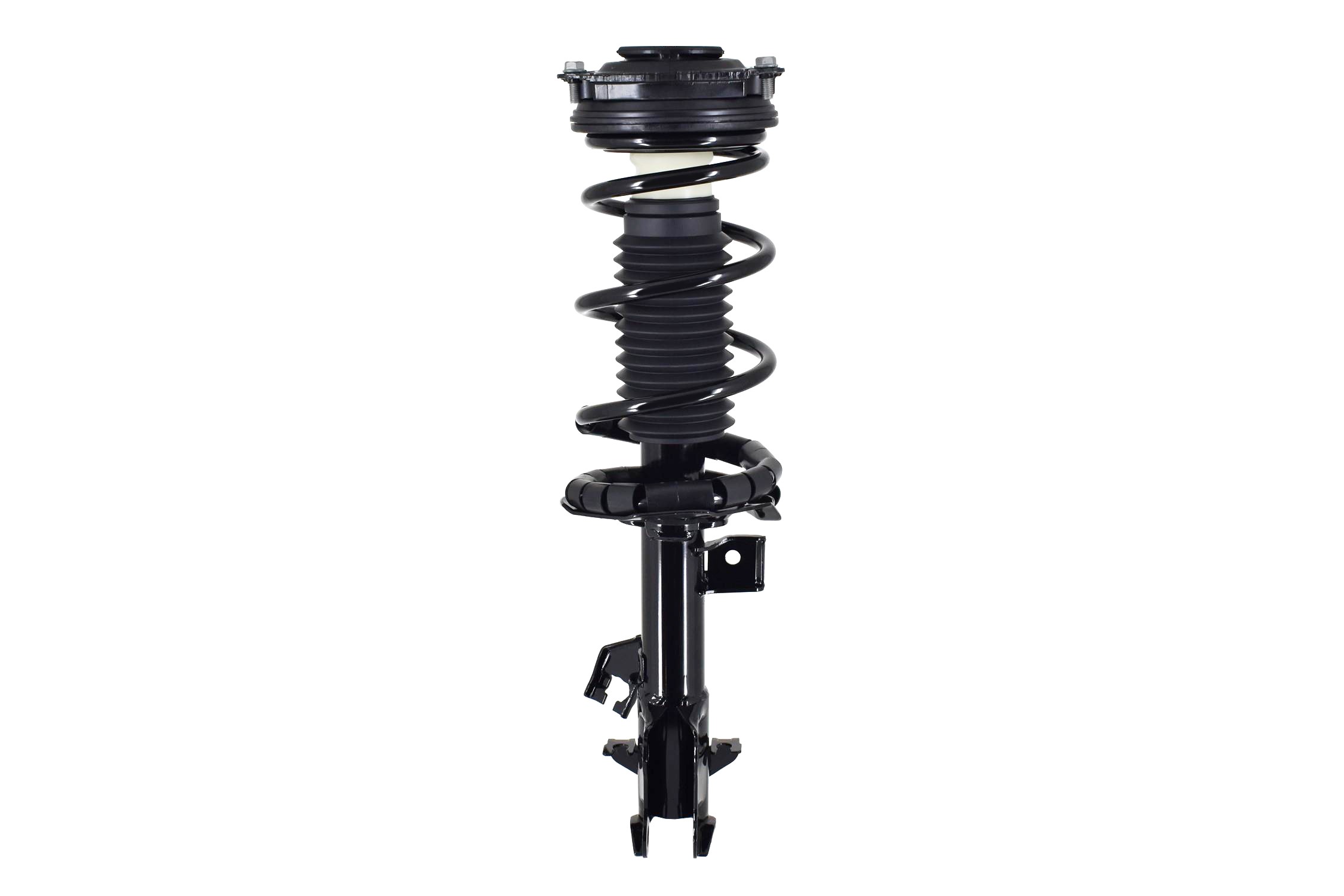 Suspension Strut and Coil Spring Assembly