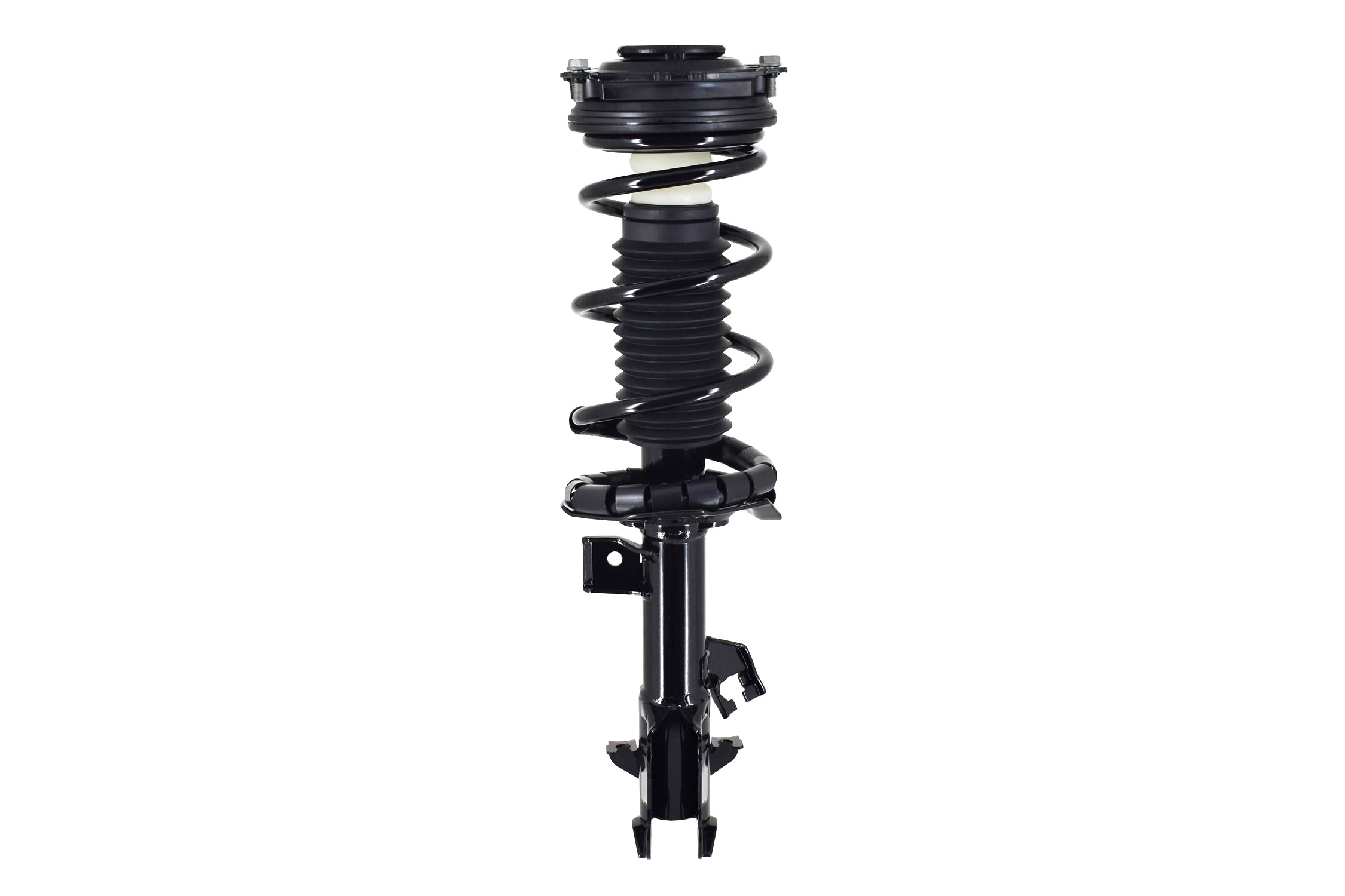 Suspension Strut and Coil Spring Assembly