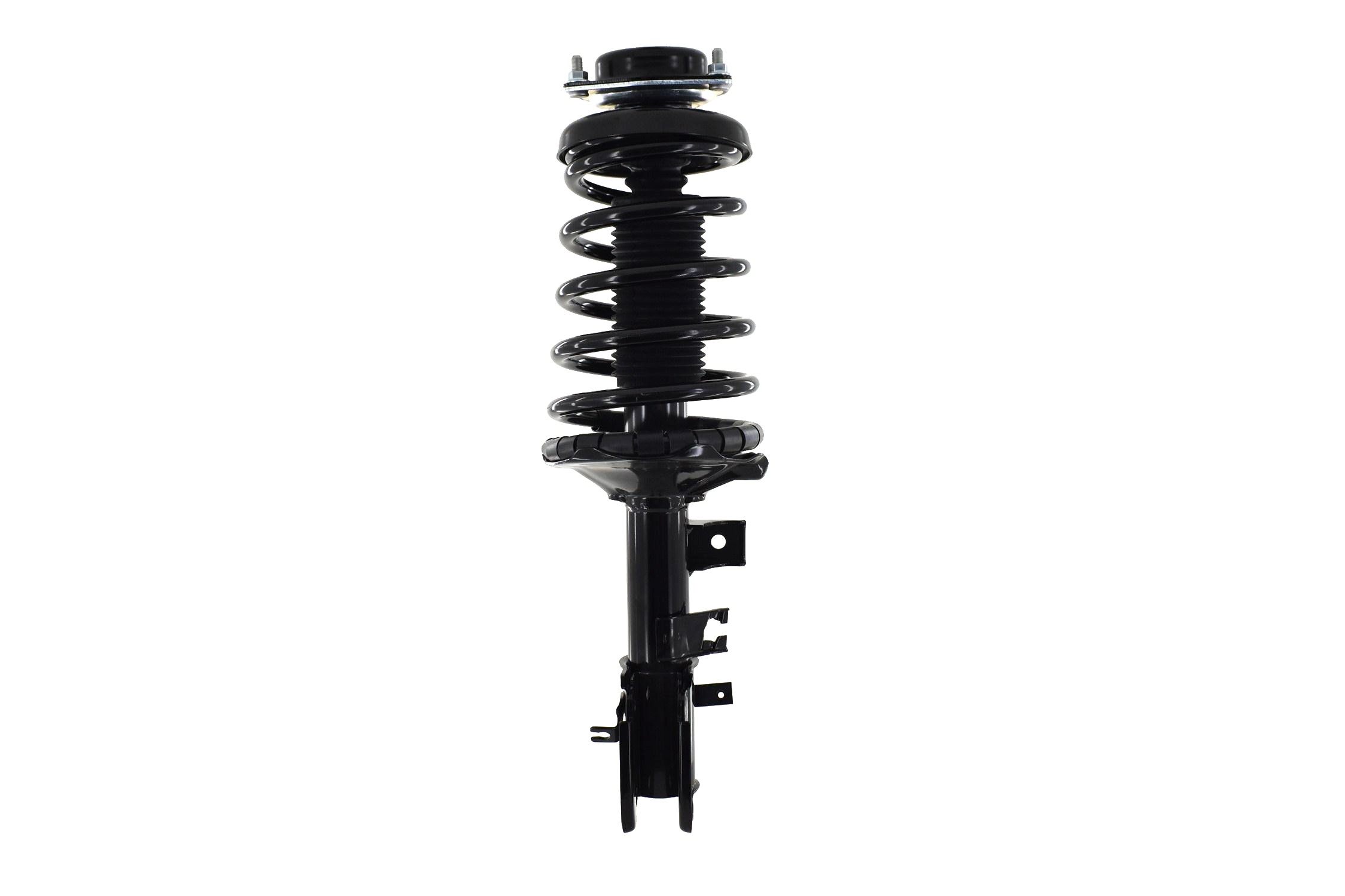 Suspension Strut and Coil Spring Assembly