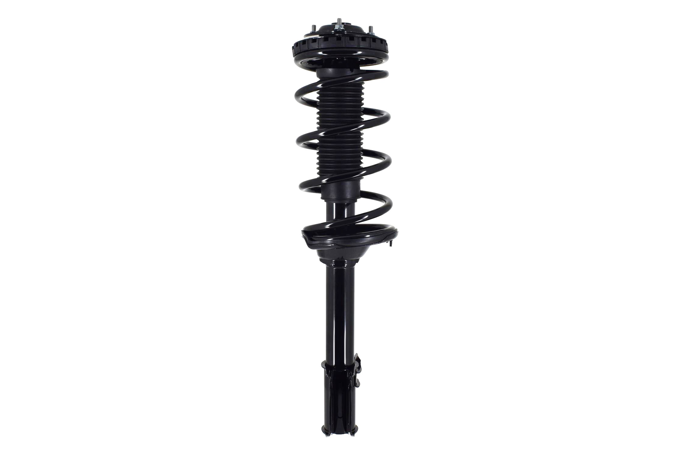 Suspension Strut and Coil Spring Assembly