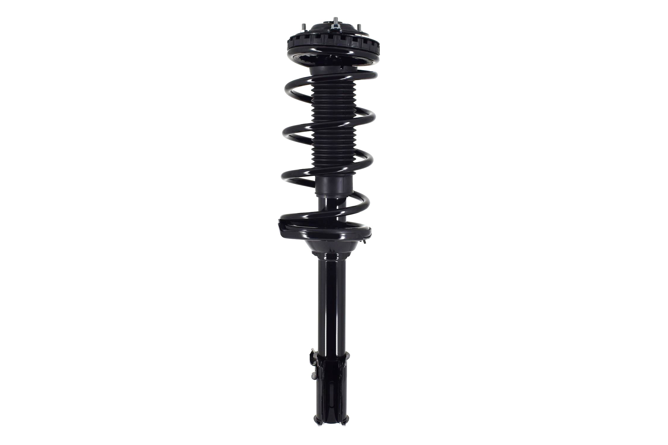 Suspension Strut and Coil Spring Assembly