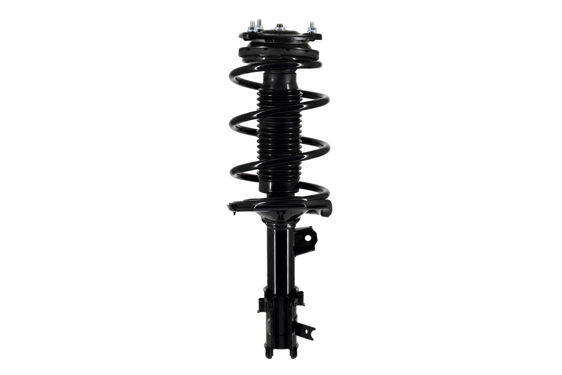 Suspension Strut and Coil Spring Assembly