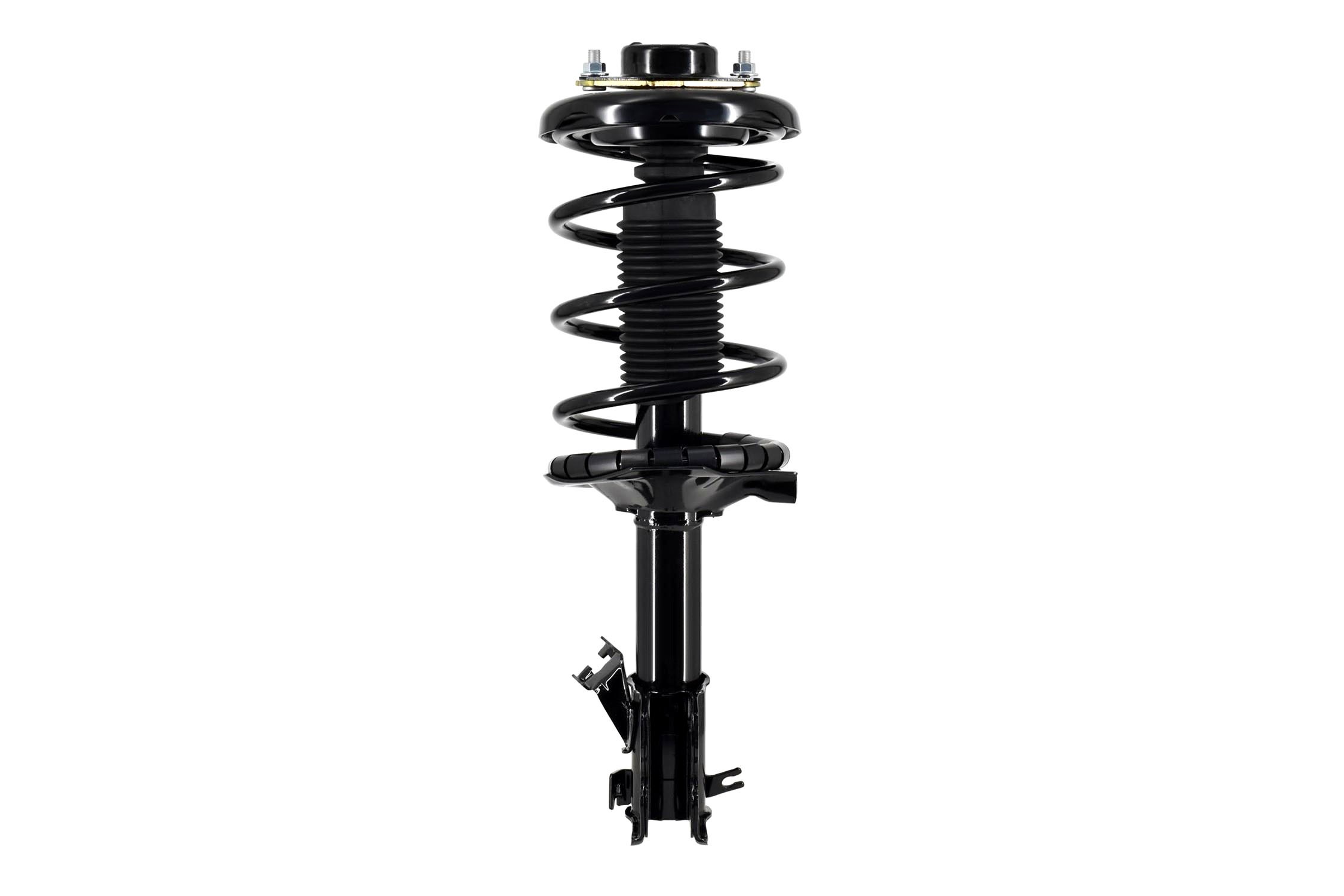 Suspension Strut and Coil Spring Assembly