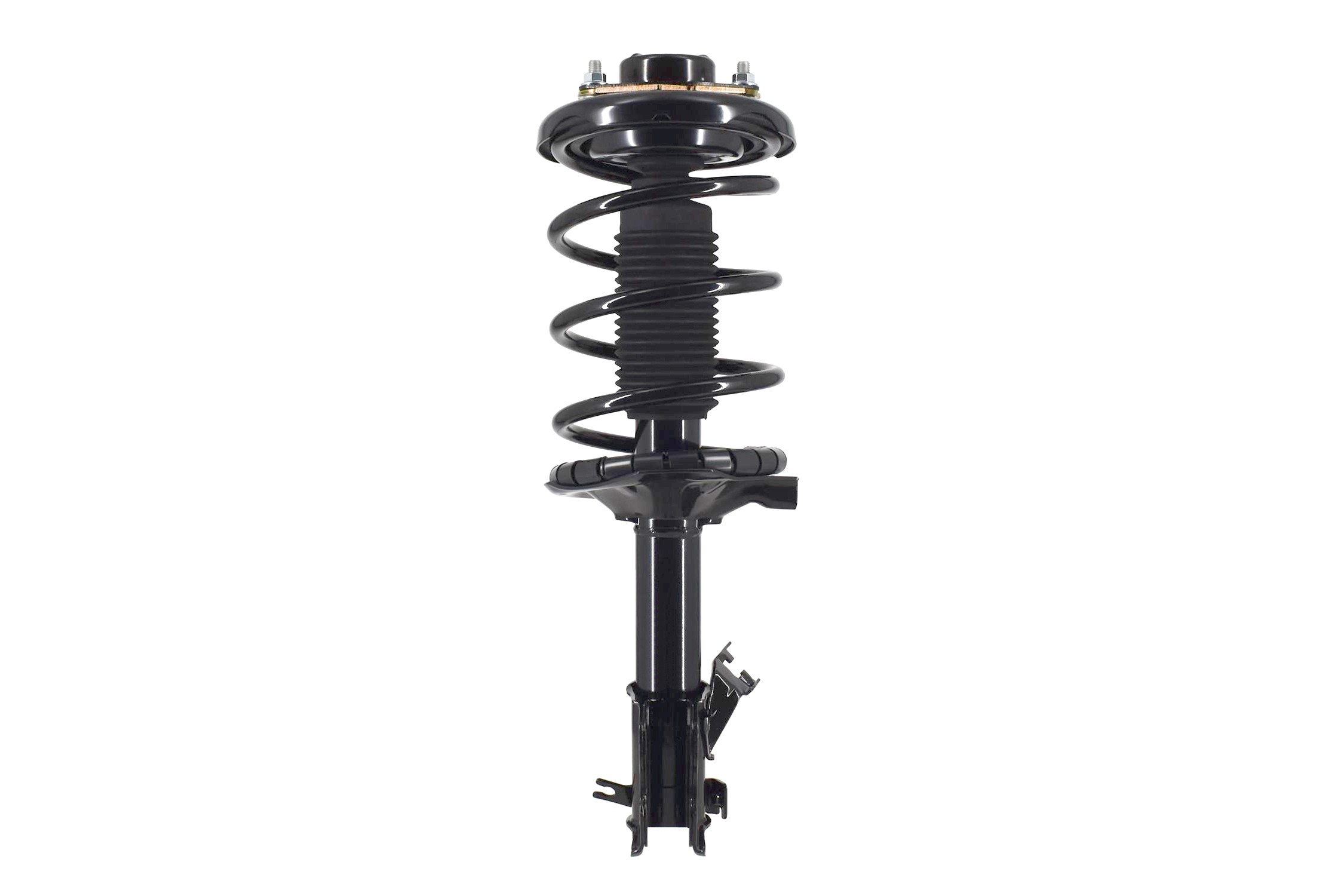 Suspension Strut and Coil Spring Assembly
