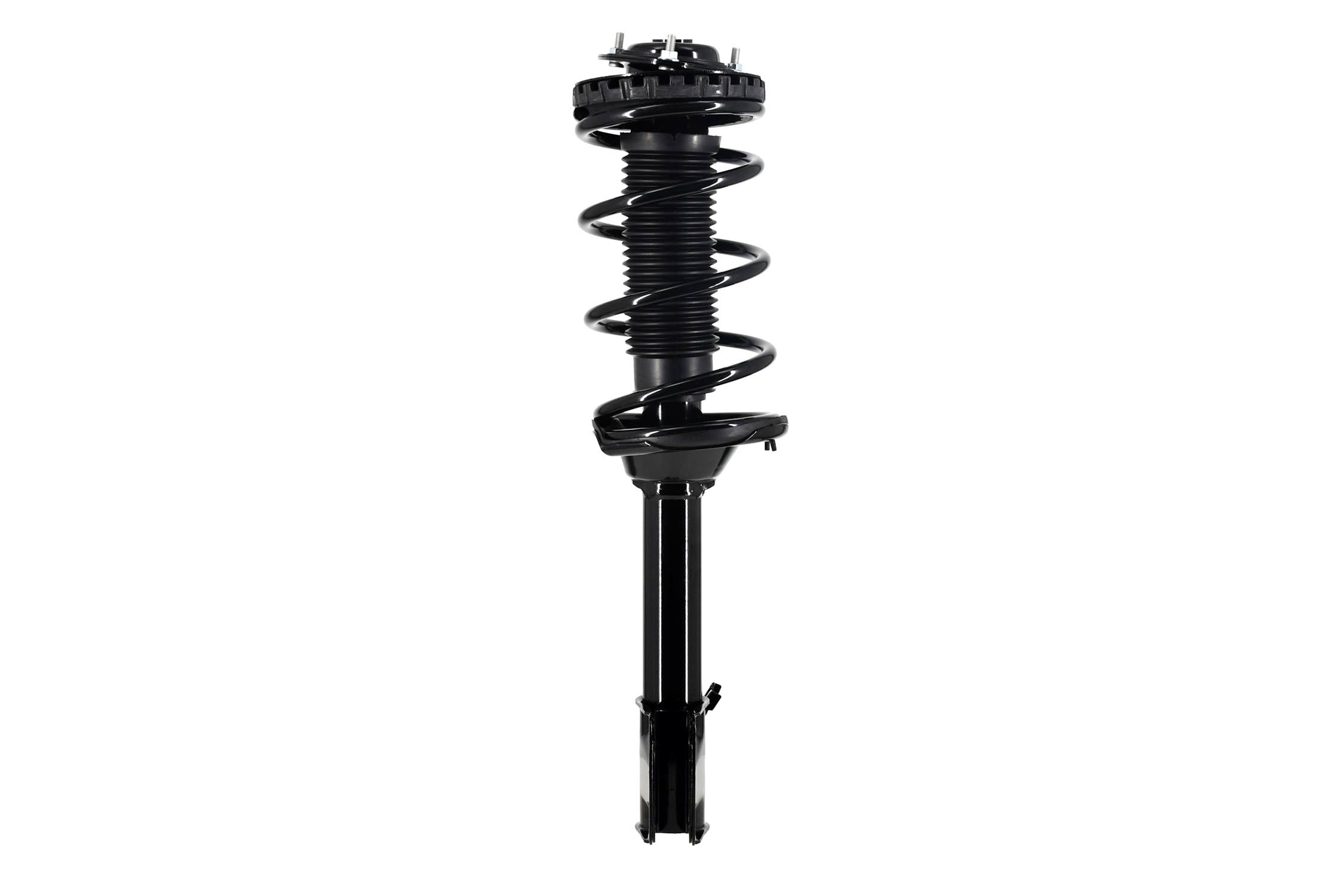 Suspension Strut and Coil Spring Assembly