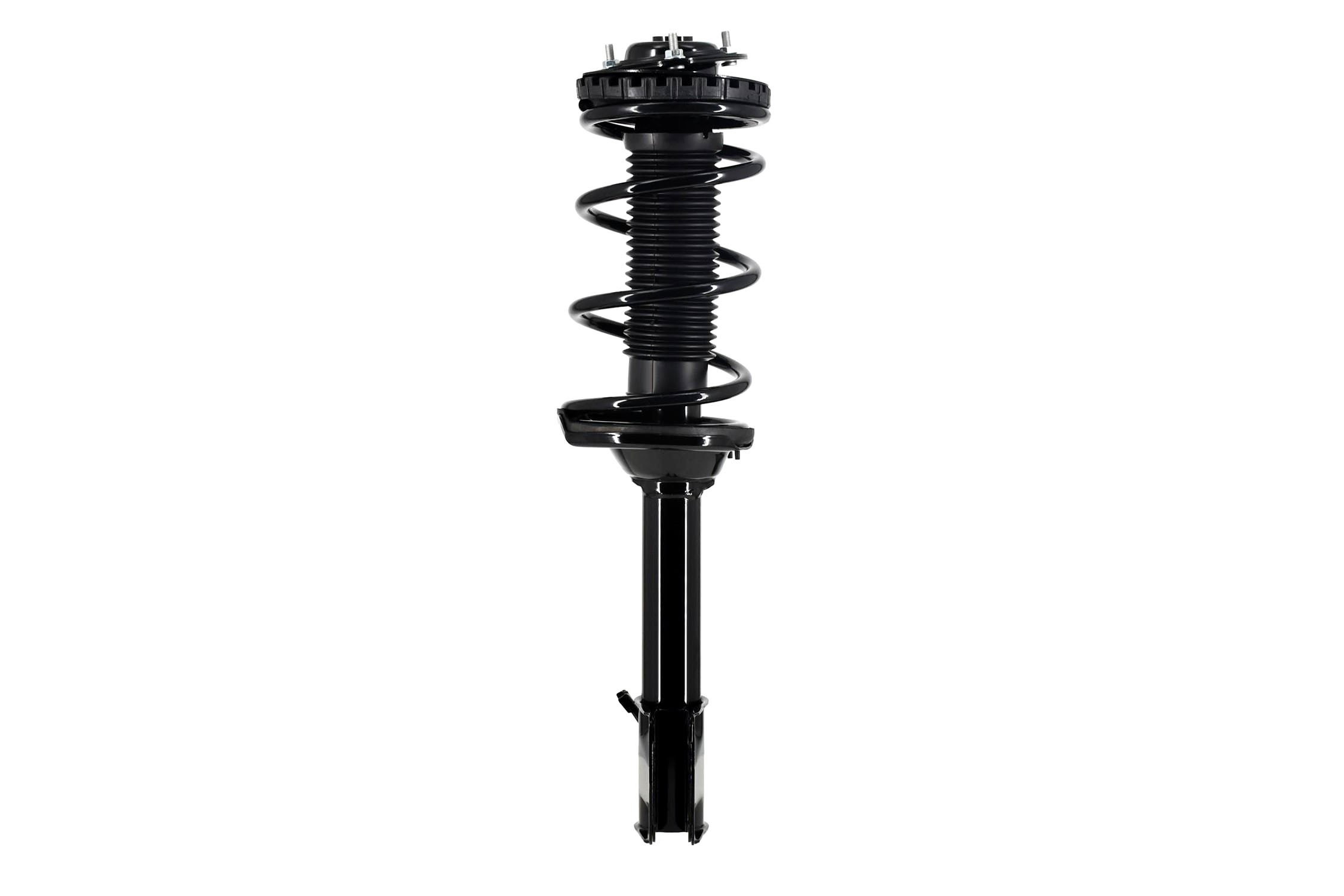 Suspension Strut and Coil Spring Assembly