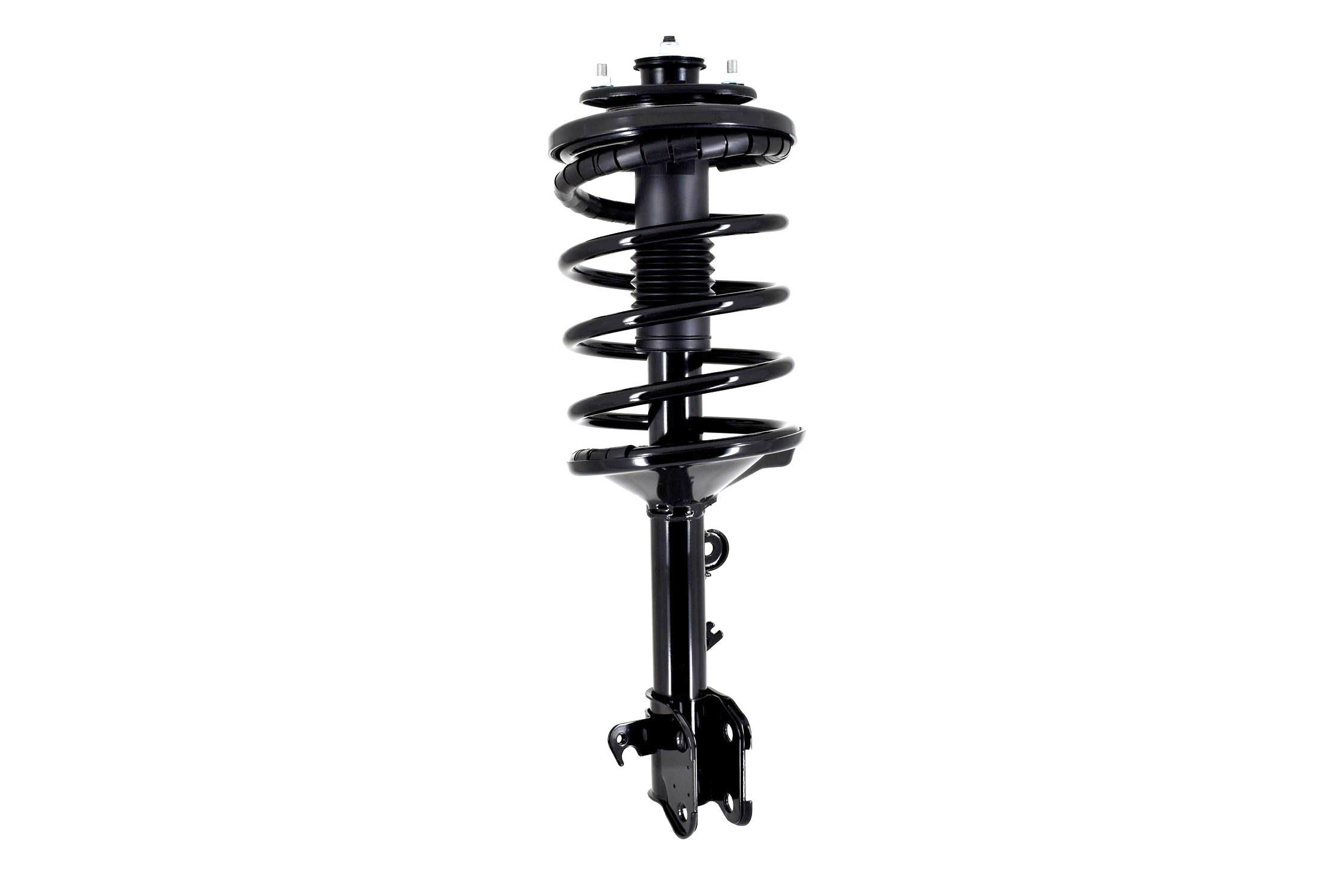 Suspension Strut and Coil Spring Assembly