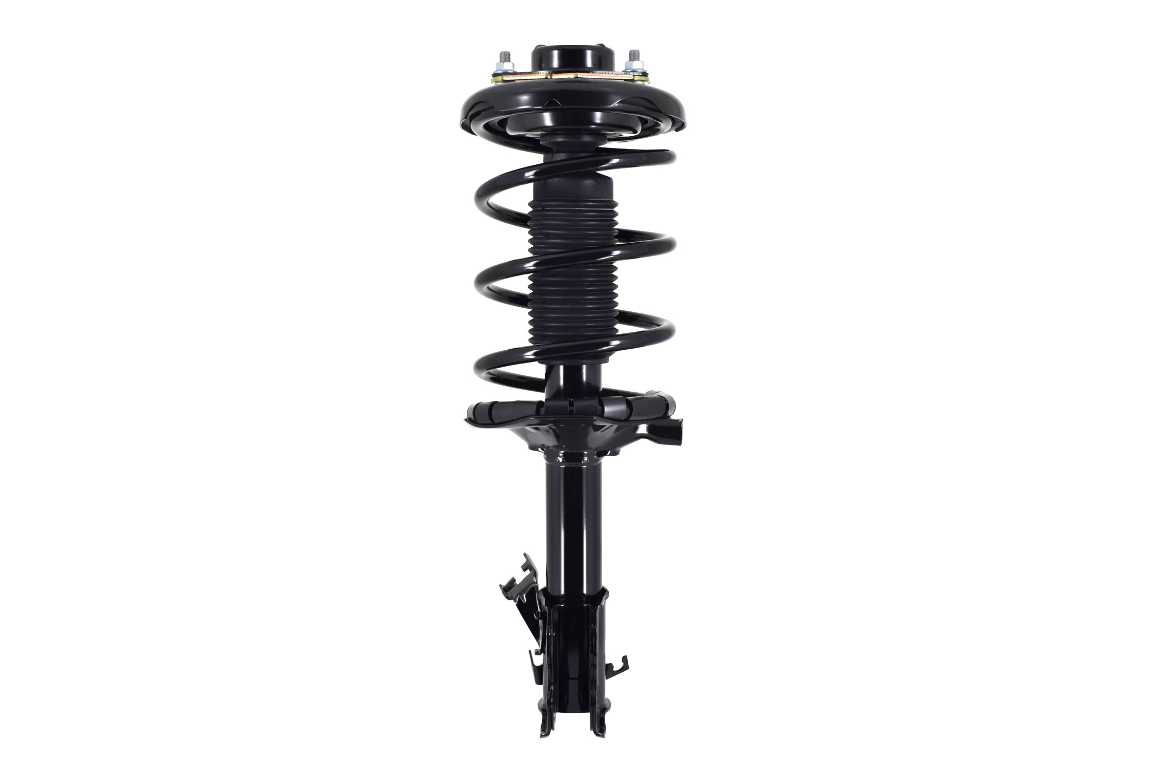 Suspension Strut and Coil Spring Assembly