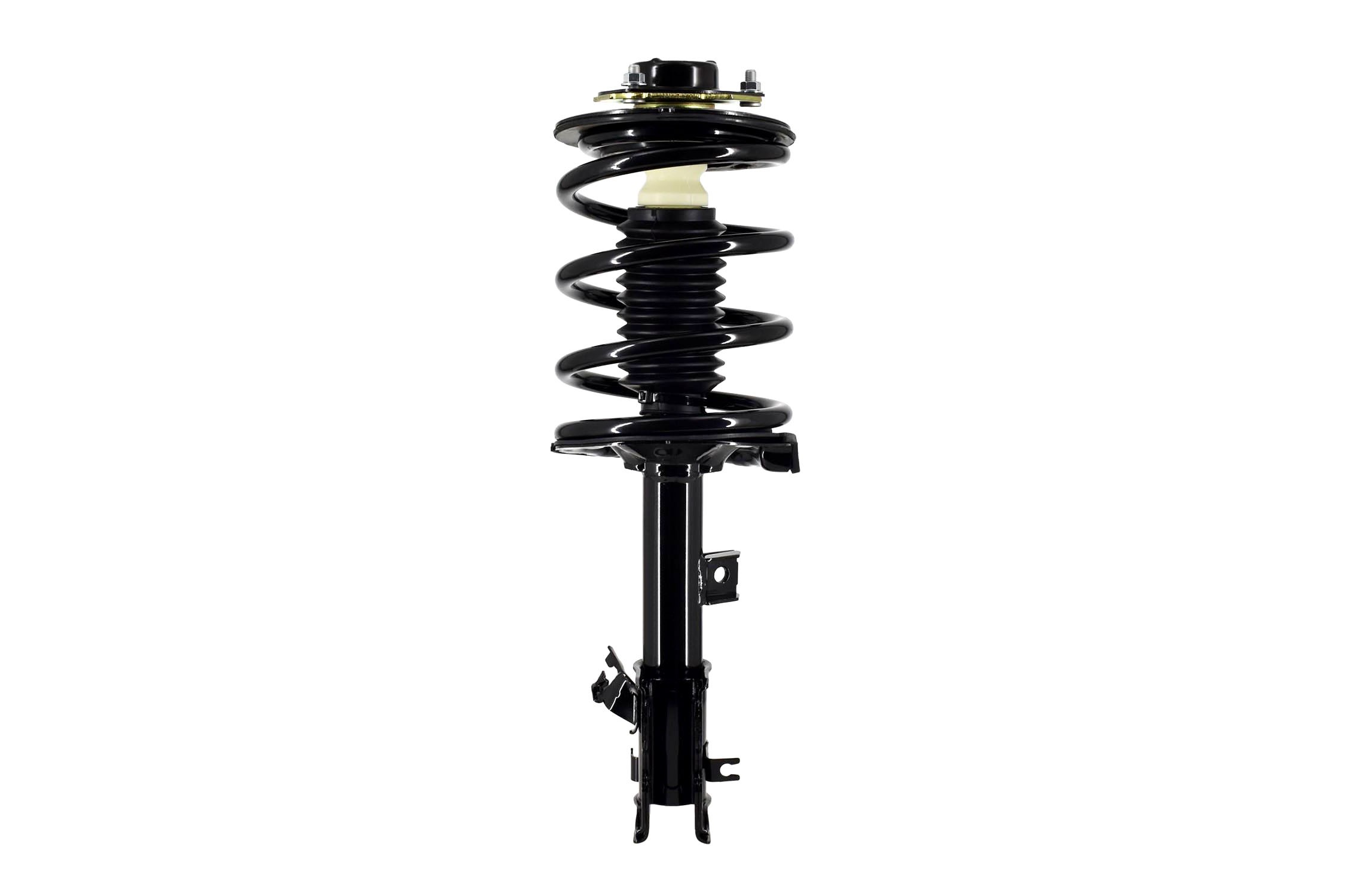 Suspension Strut and Coil Spring Assembly