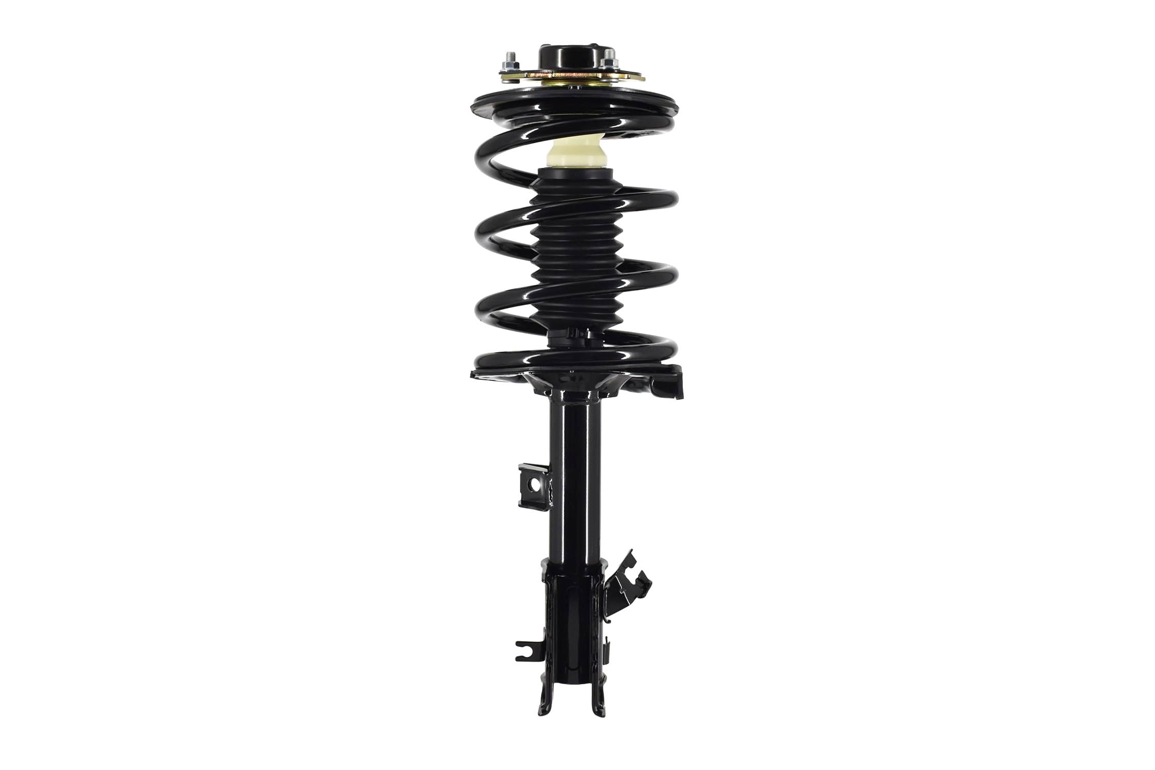 Suspension Strut and Coil Spring Assembly