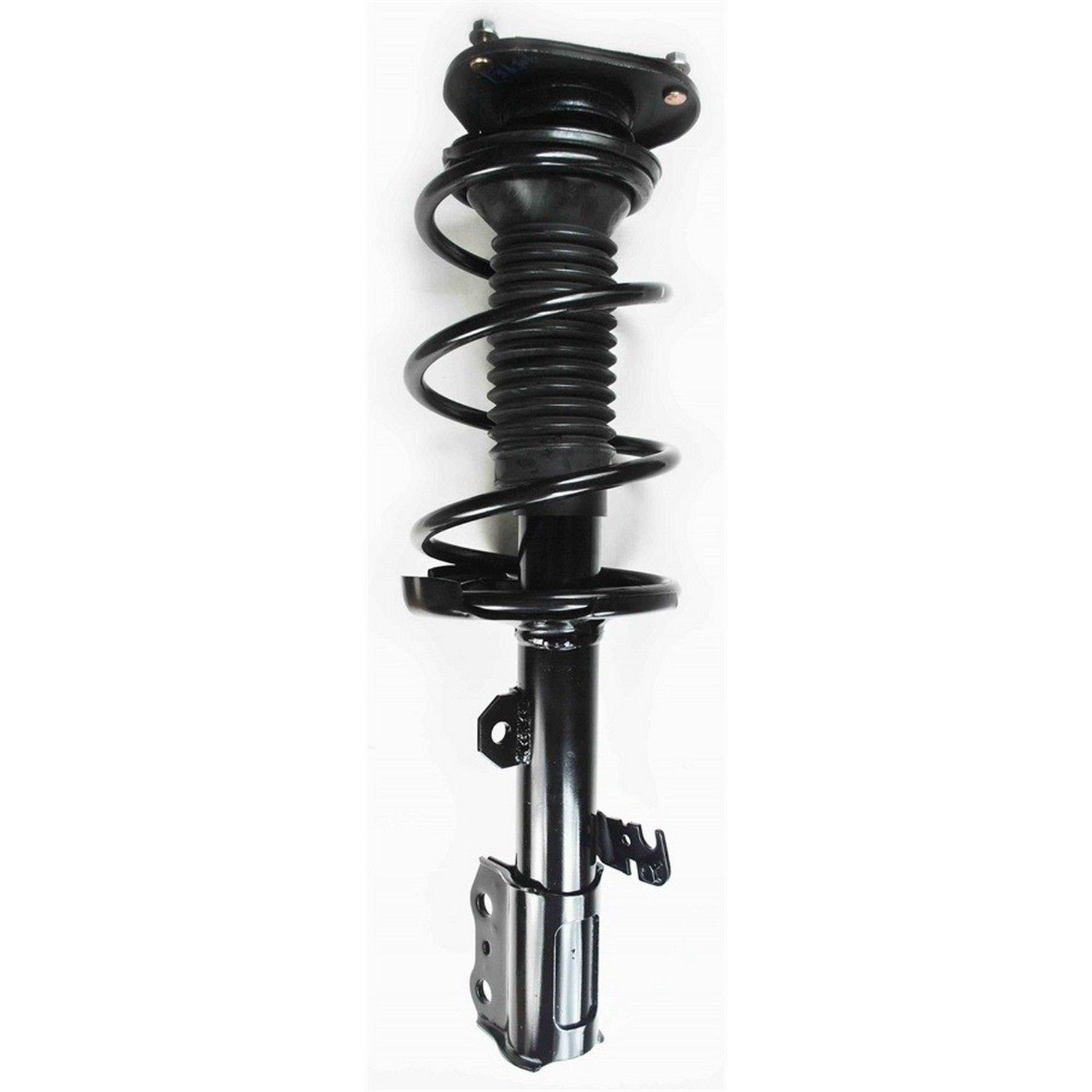 Suspension Strut and Coil Spring Assembly