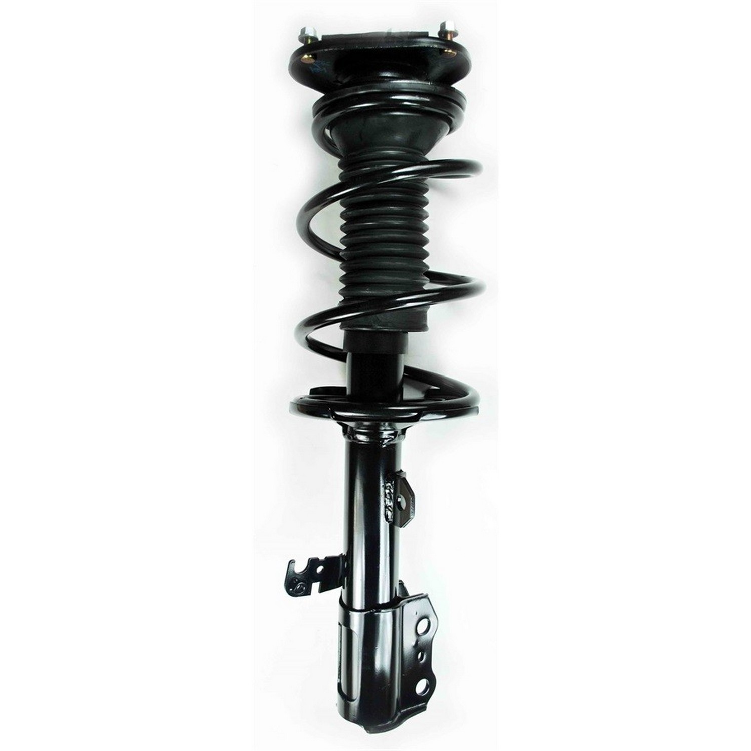 Suspension Strut and Coil Spring Assembly