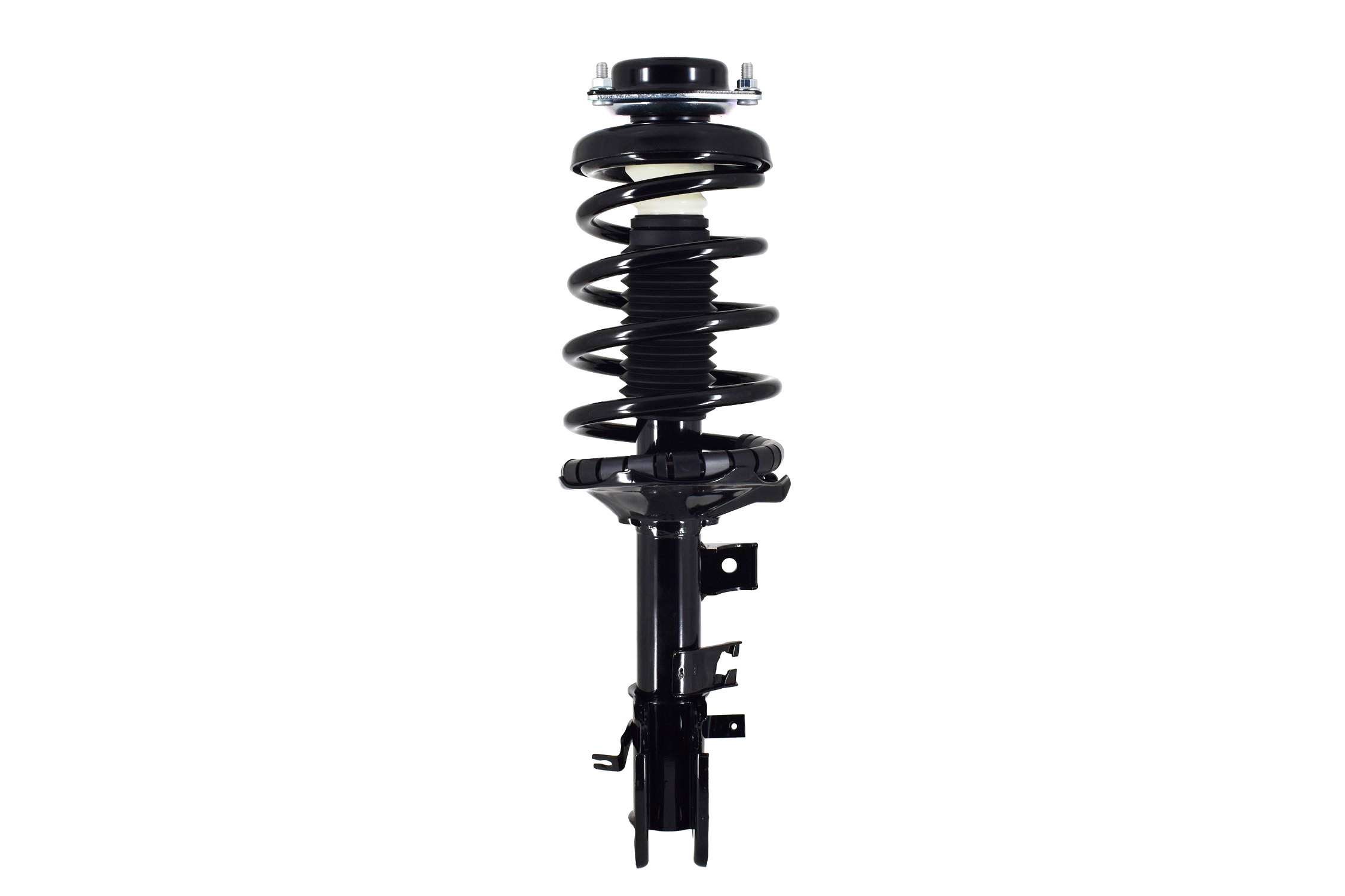 Suspension Strut and Coil Spring Assembly