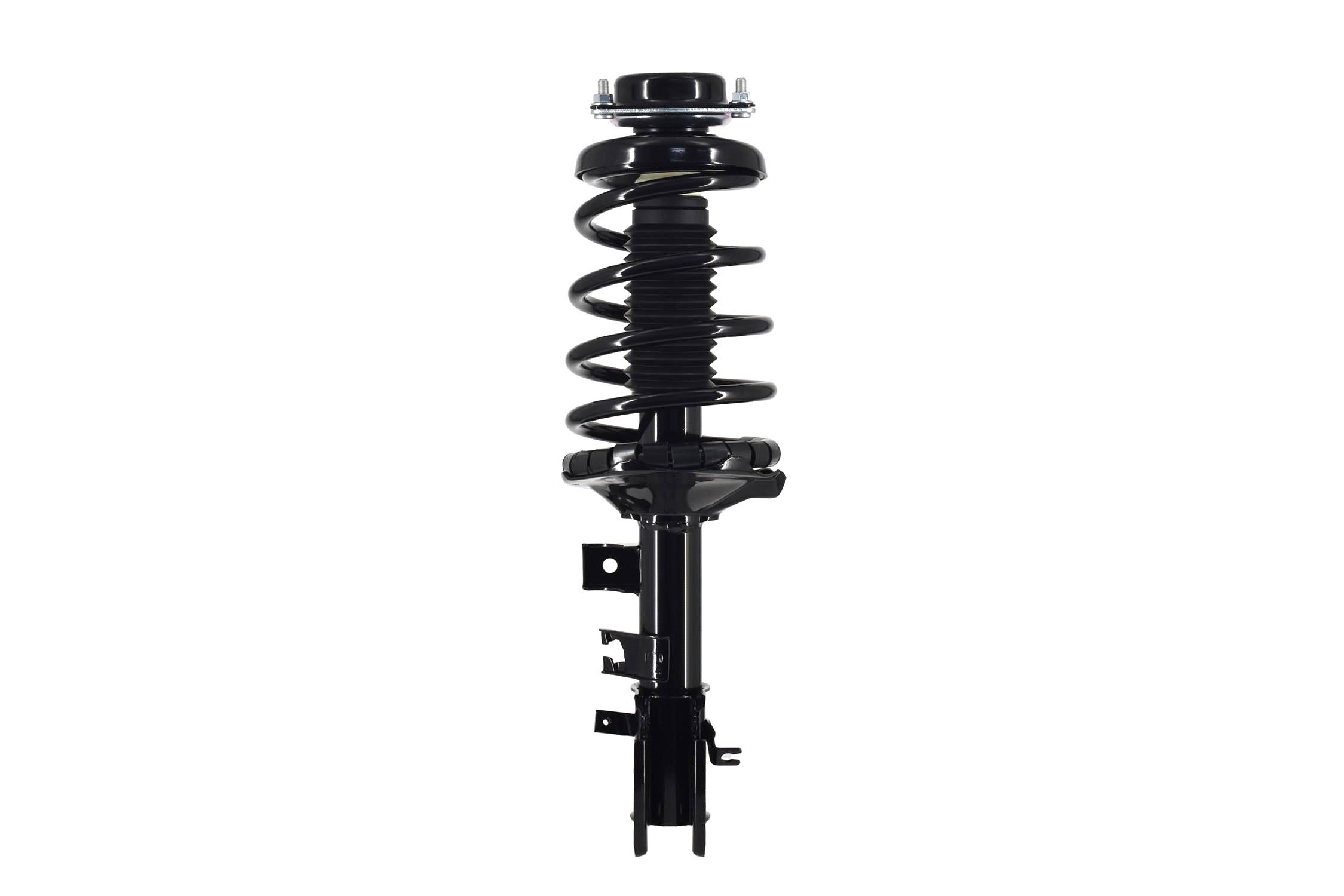 Suspension Strut and Coil Spring Assembly