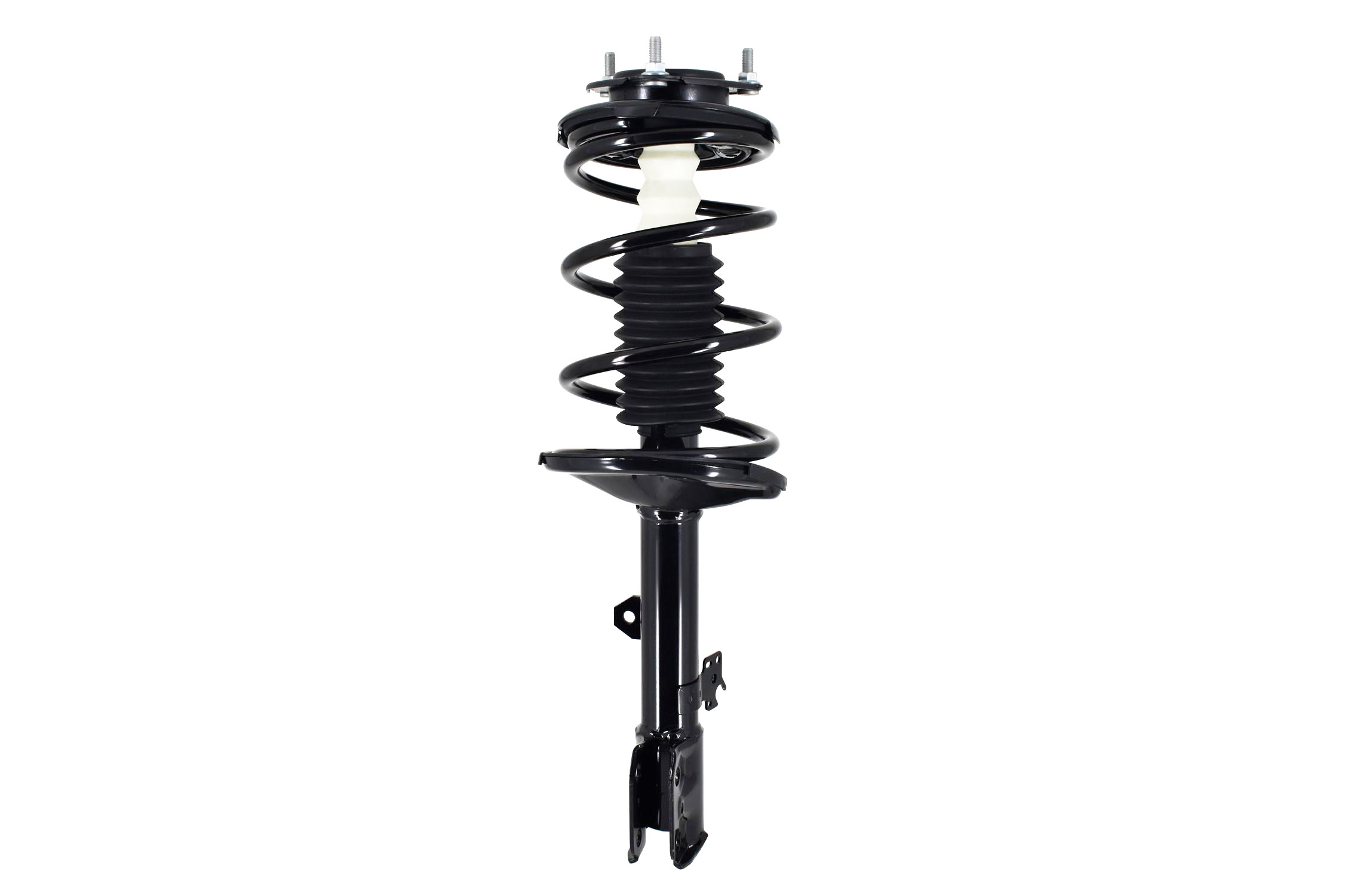 Suspension Strut and Coil Spring Assembly