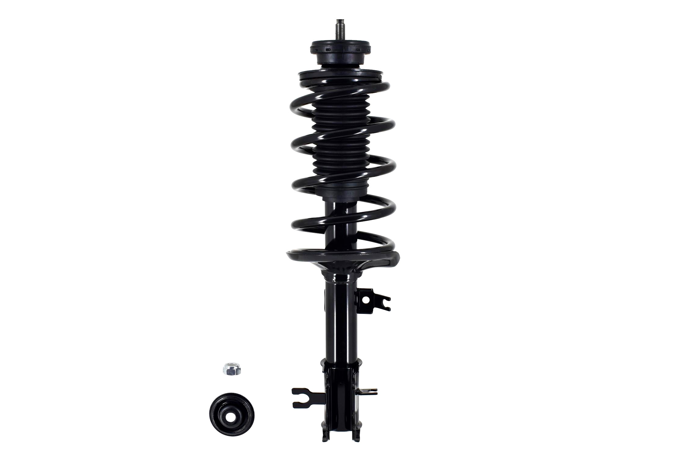 Suspension Strut and Coil Spring Assembly