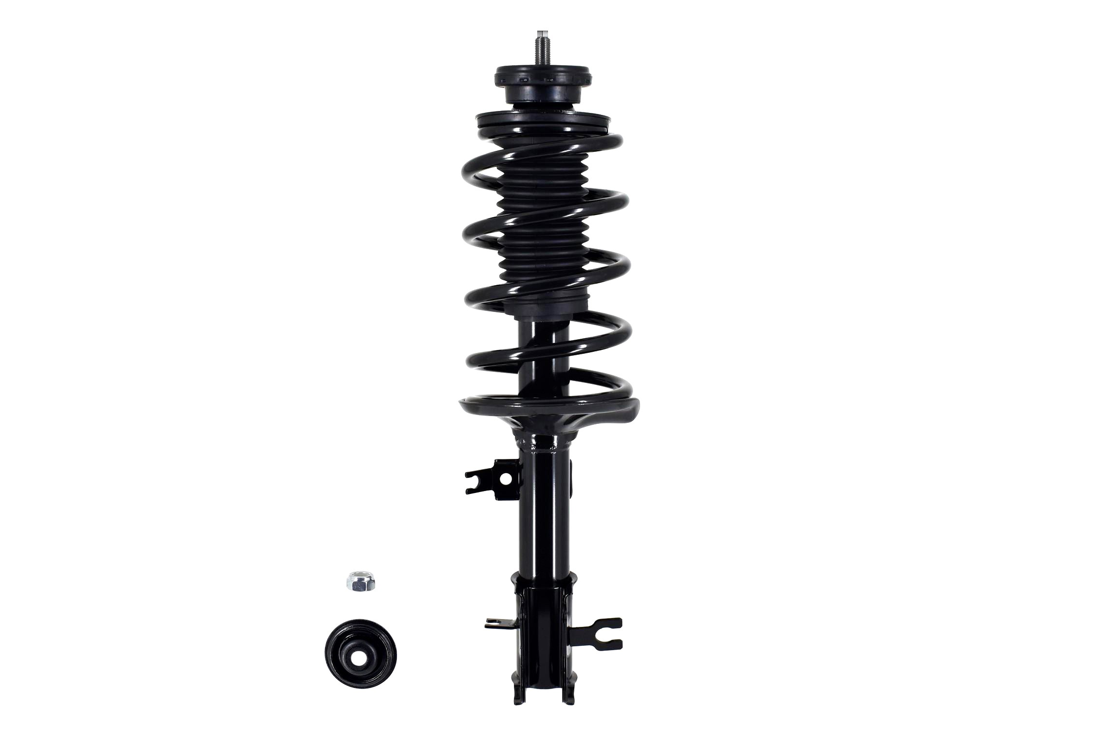 Suspension Strut and Coil Spring Assembly