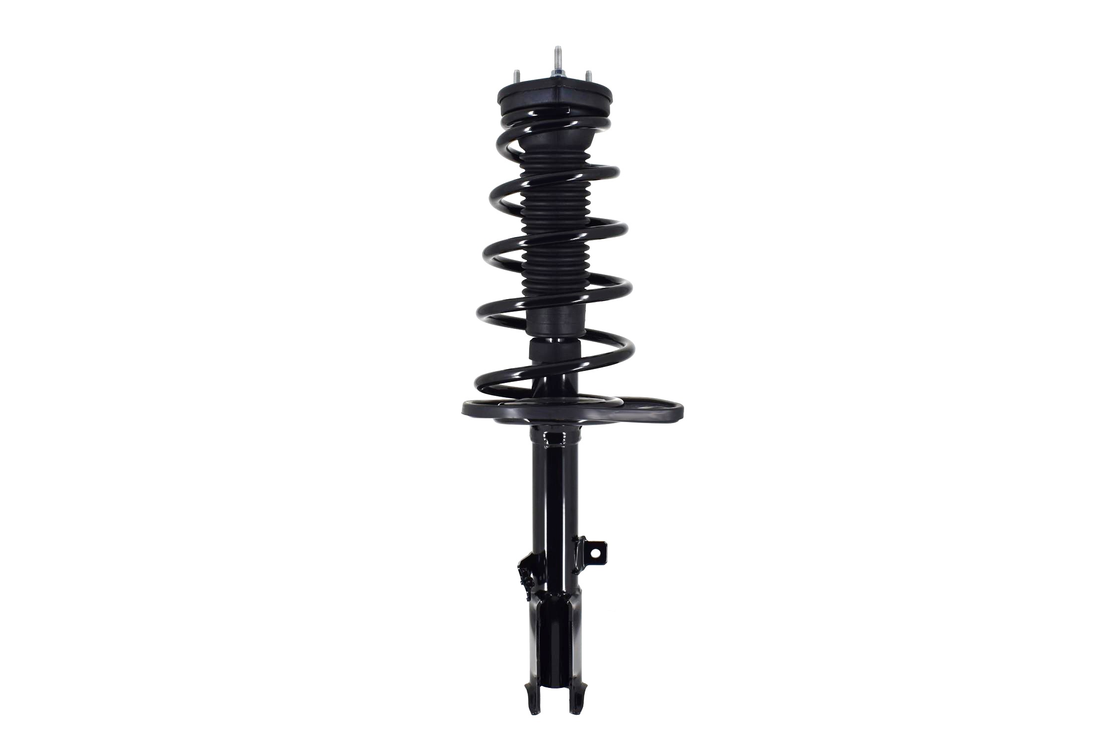 Suspension Strut and Coil Spring Assembly