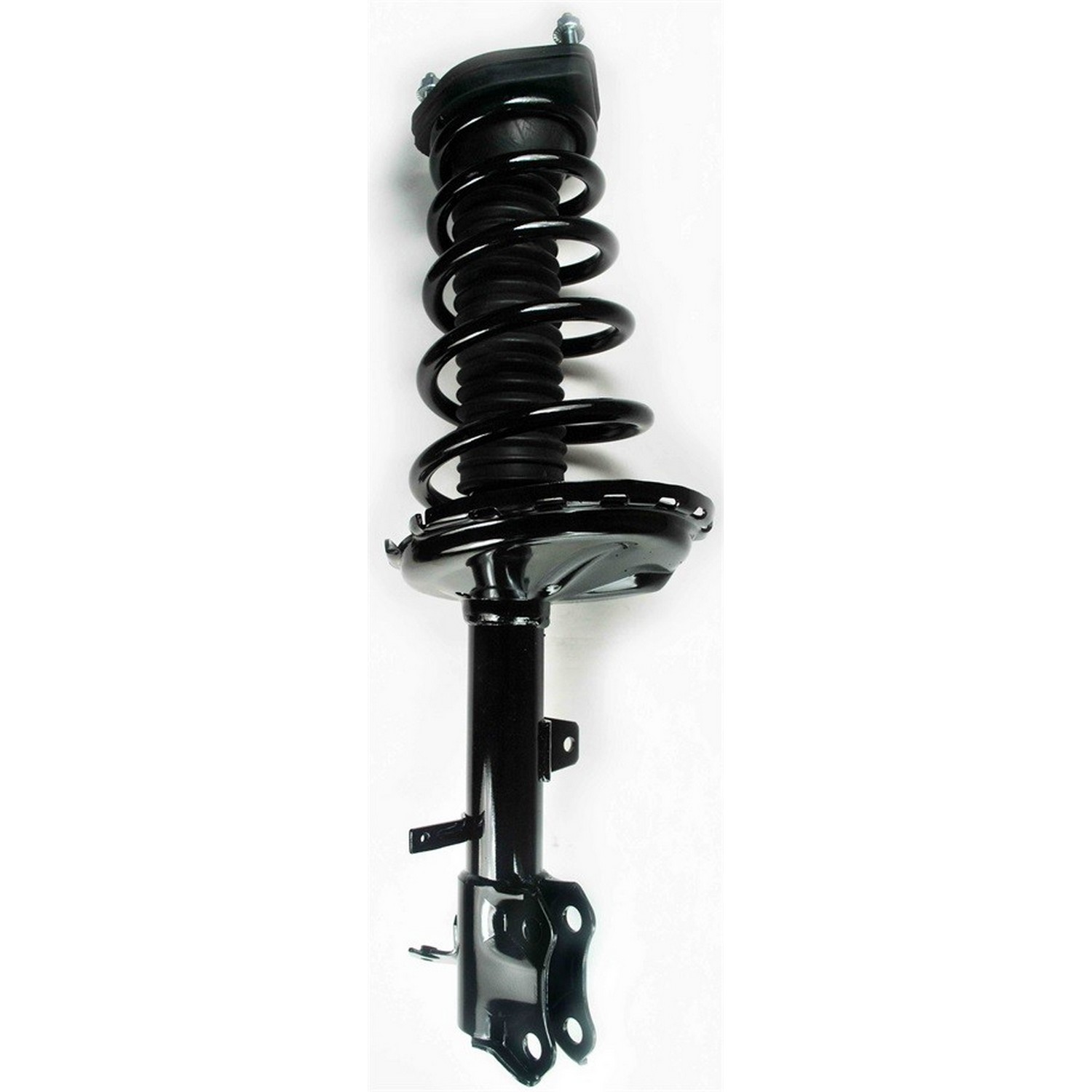 Suspension Strut and Coil Spring Assembly