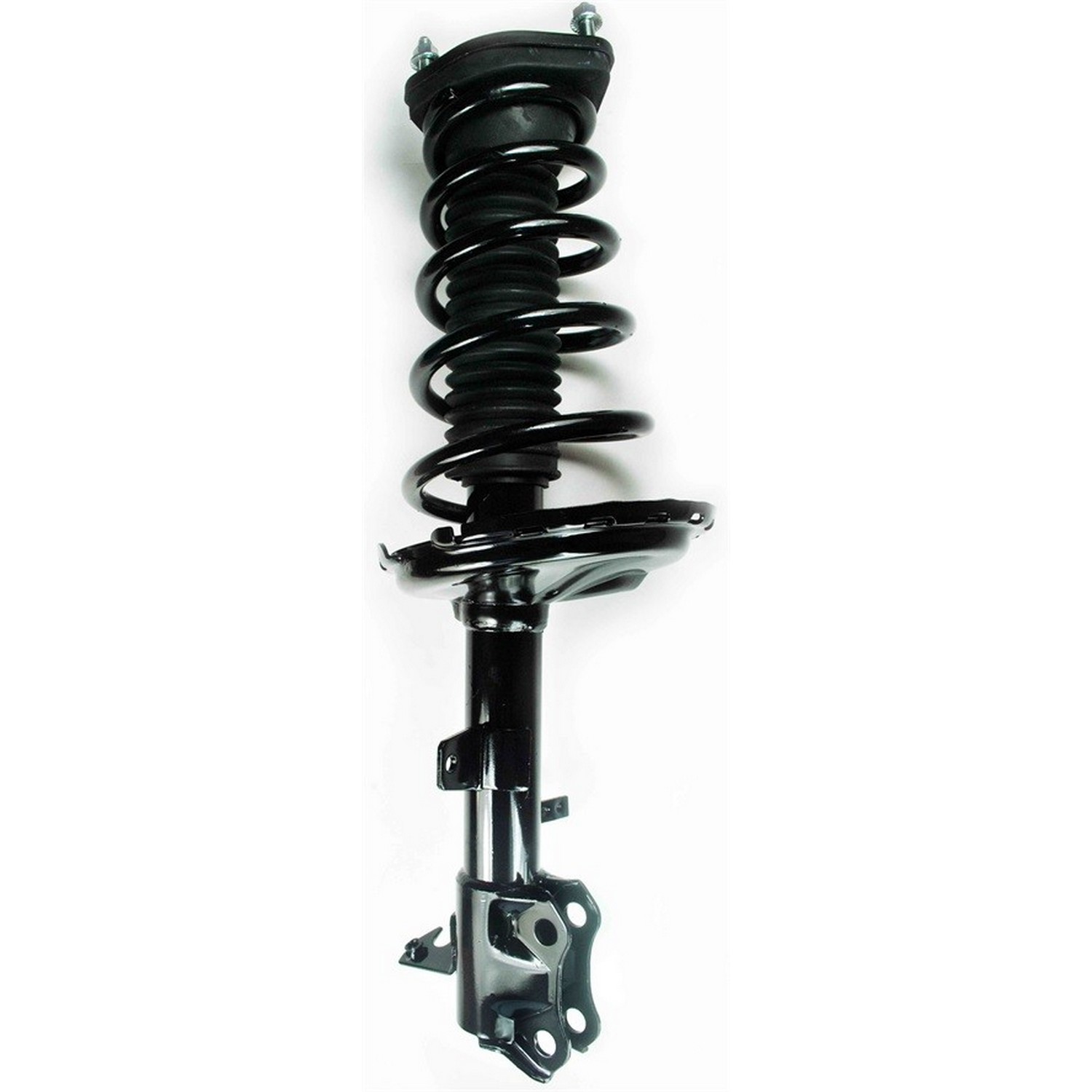 Suspension Strut and Coil Spring Assembly