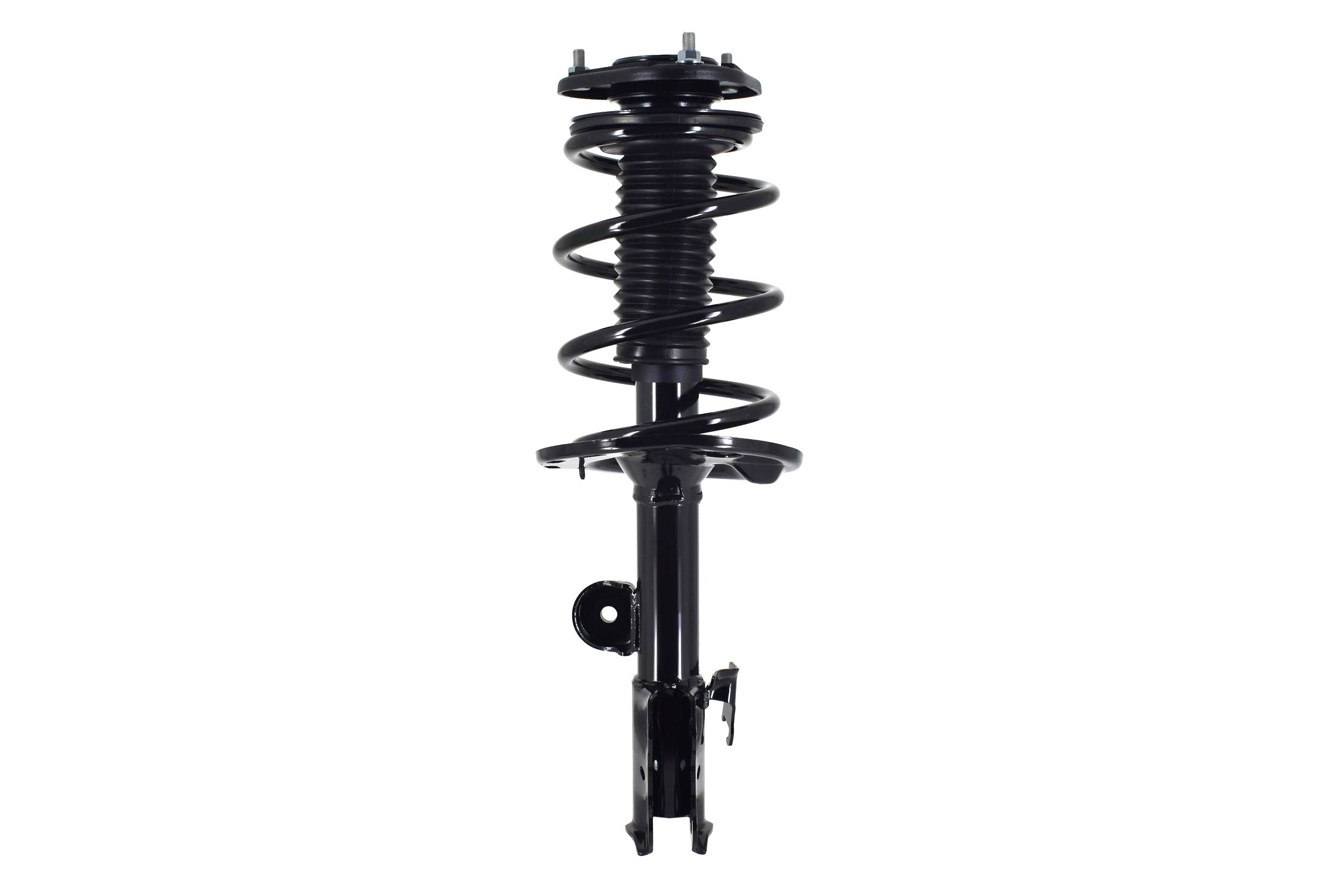 Suspension Strut and Coil Spring Assembly