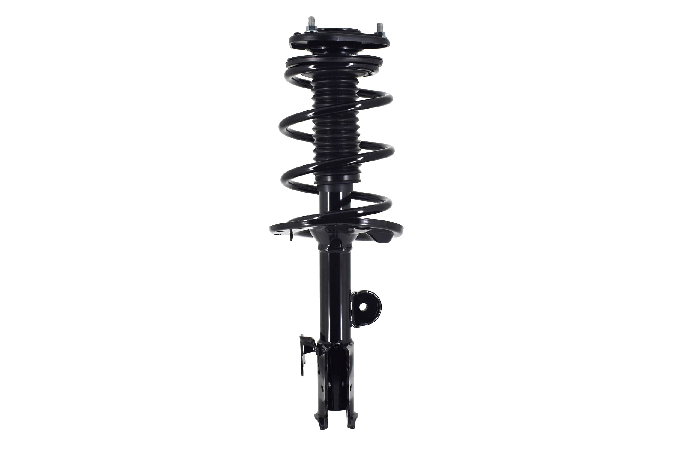 Suspension Strut and Coil Spring Assembly