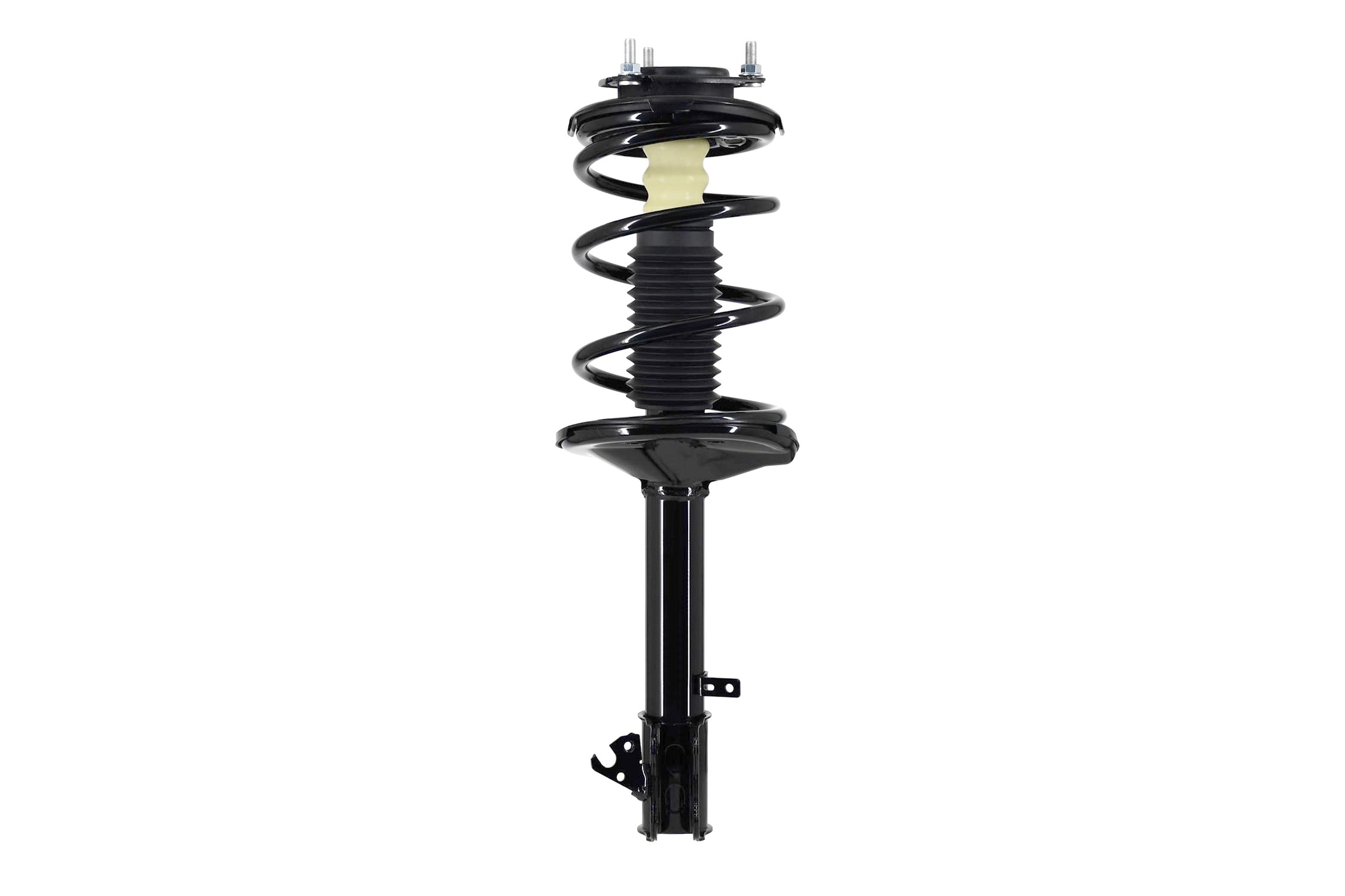 Suspension Strut and Coil Spring Assembly