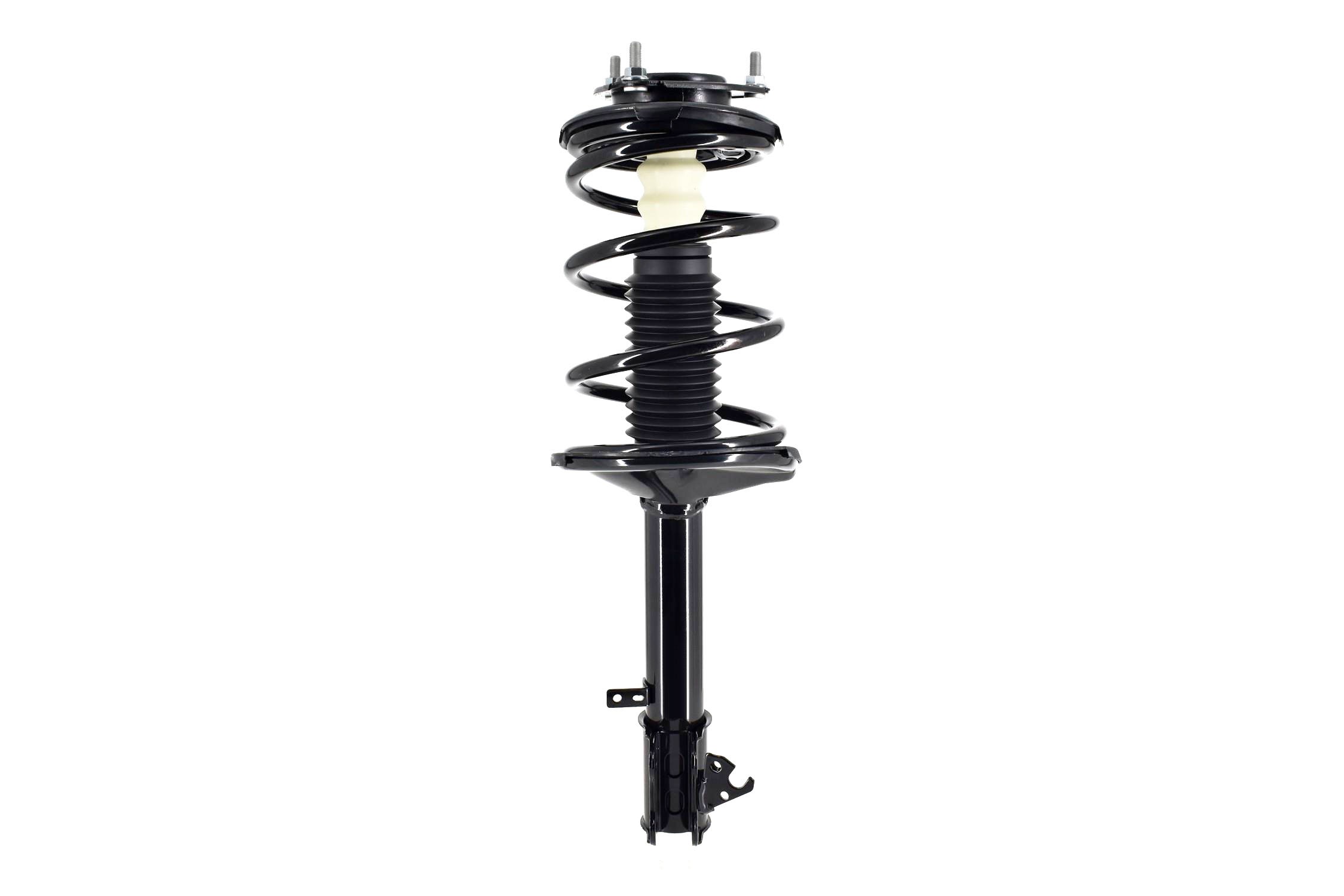 Suspension Strut and Coil Spring Assembly