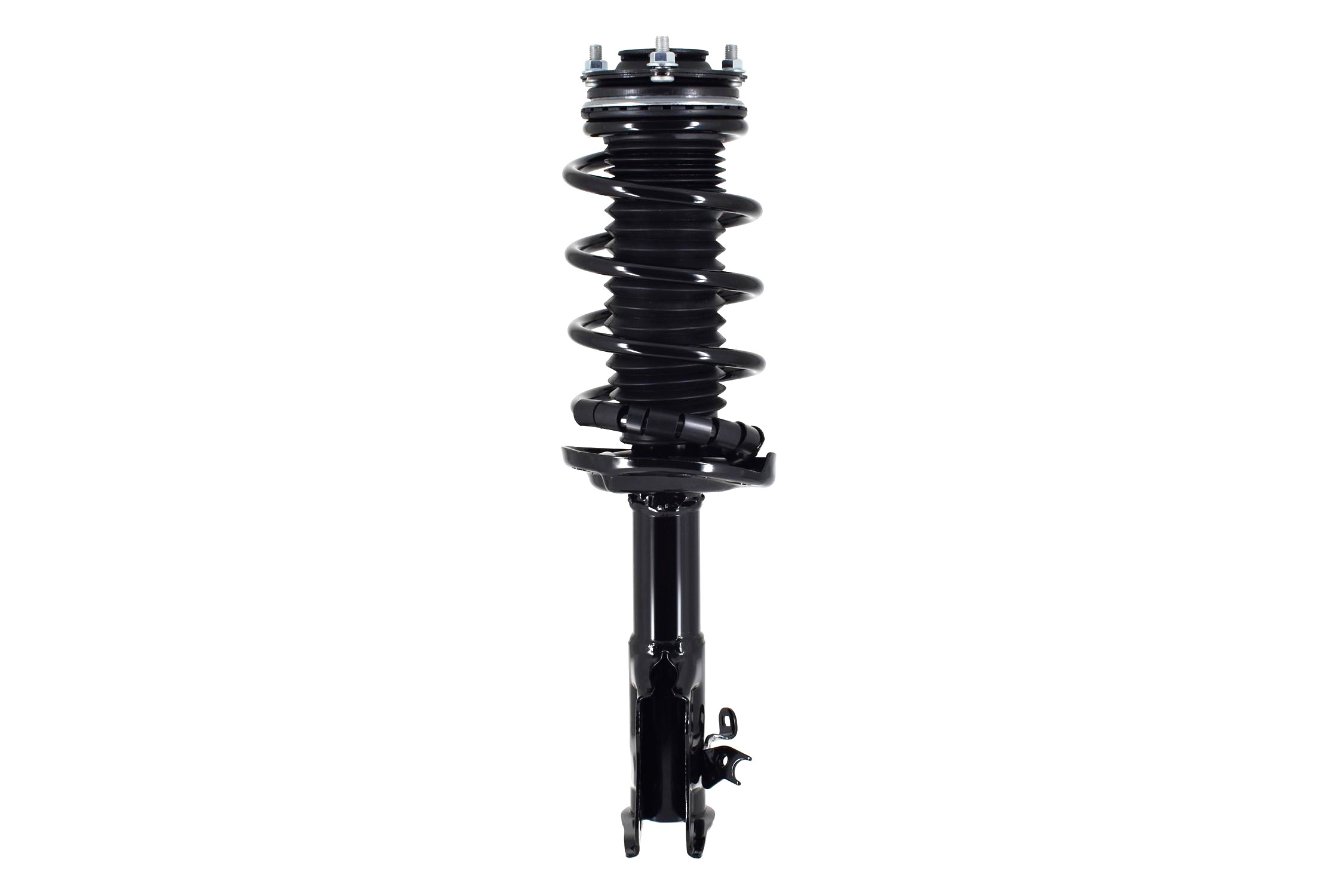 Suspension Strut and Coil Spring Assembly
