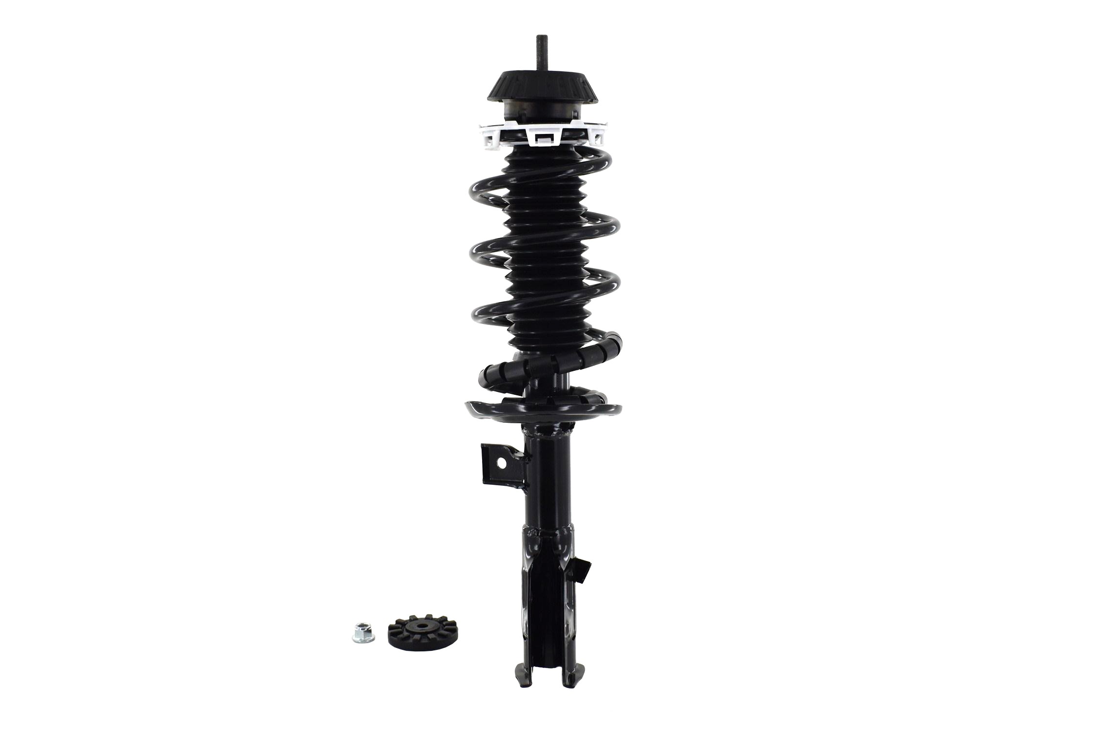 Suspension Strut and Coil Spring Assembly
