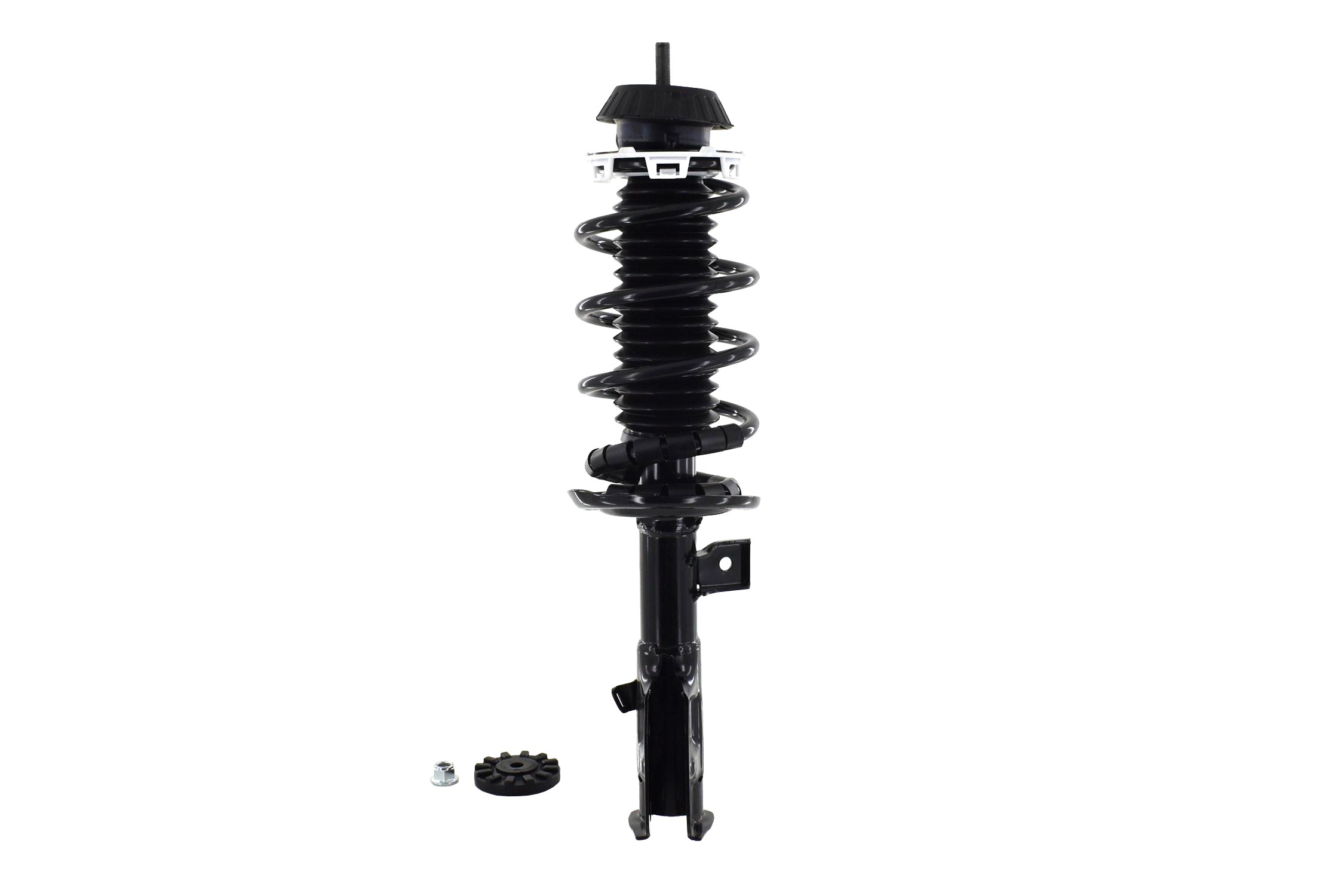 Suspension Strut and Coil Spring Assembly