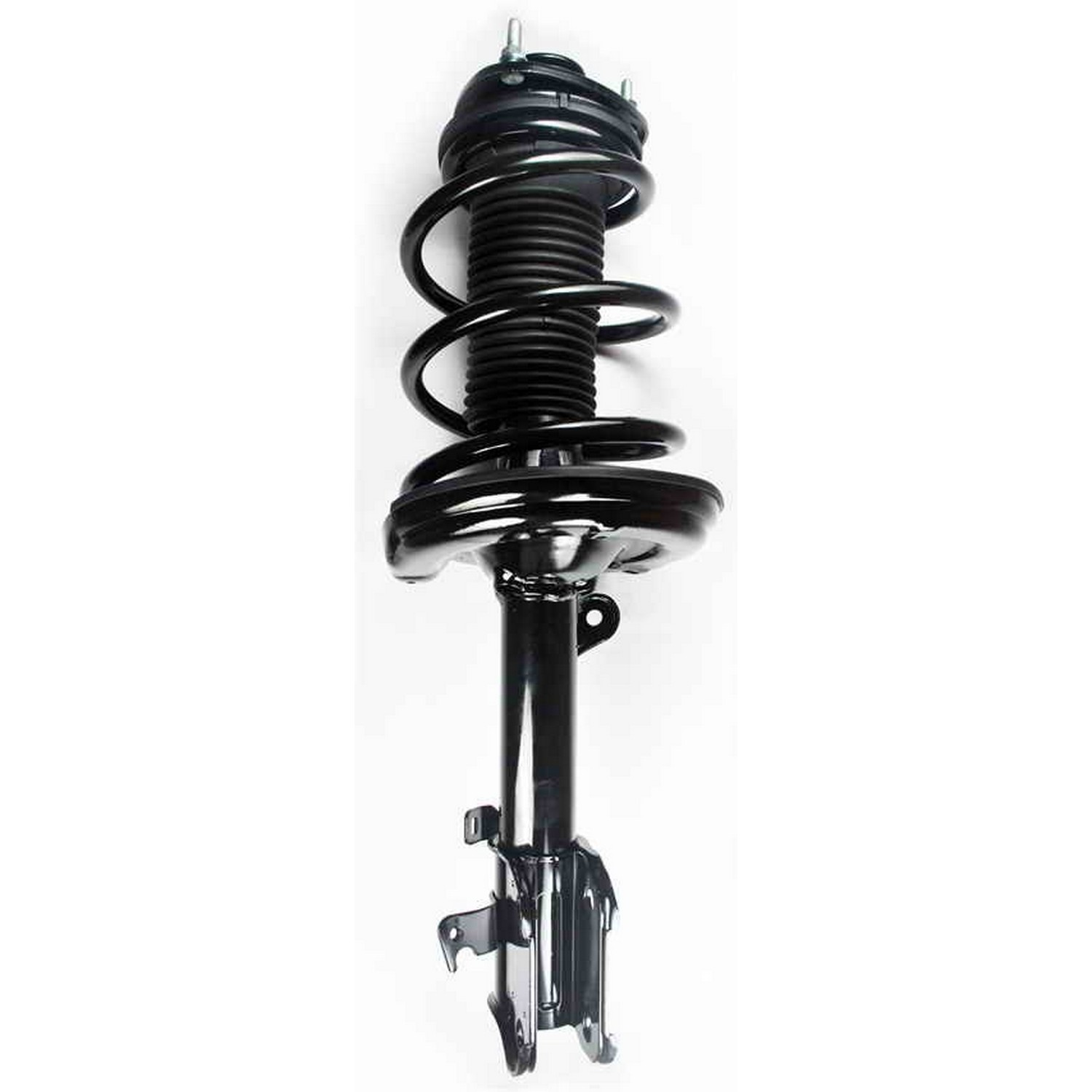 Suspension Strut and Coil Spring Assembly