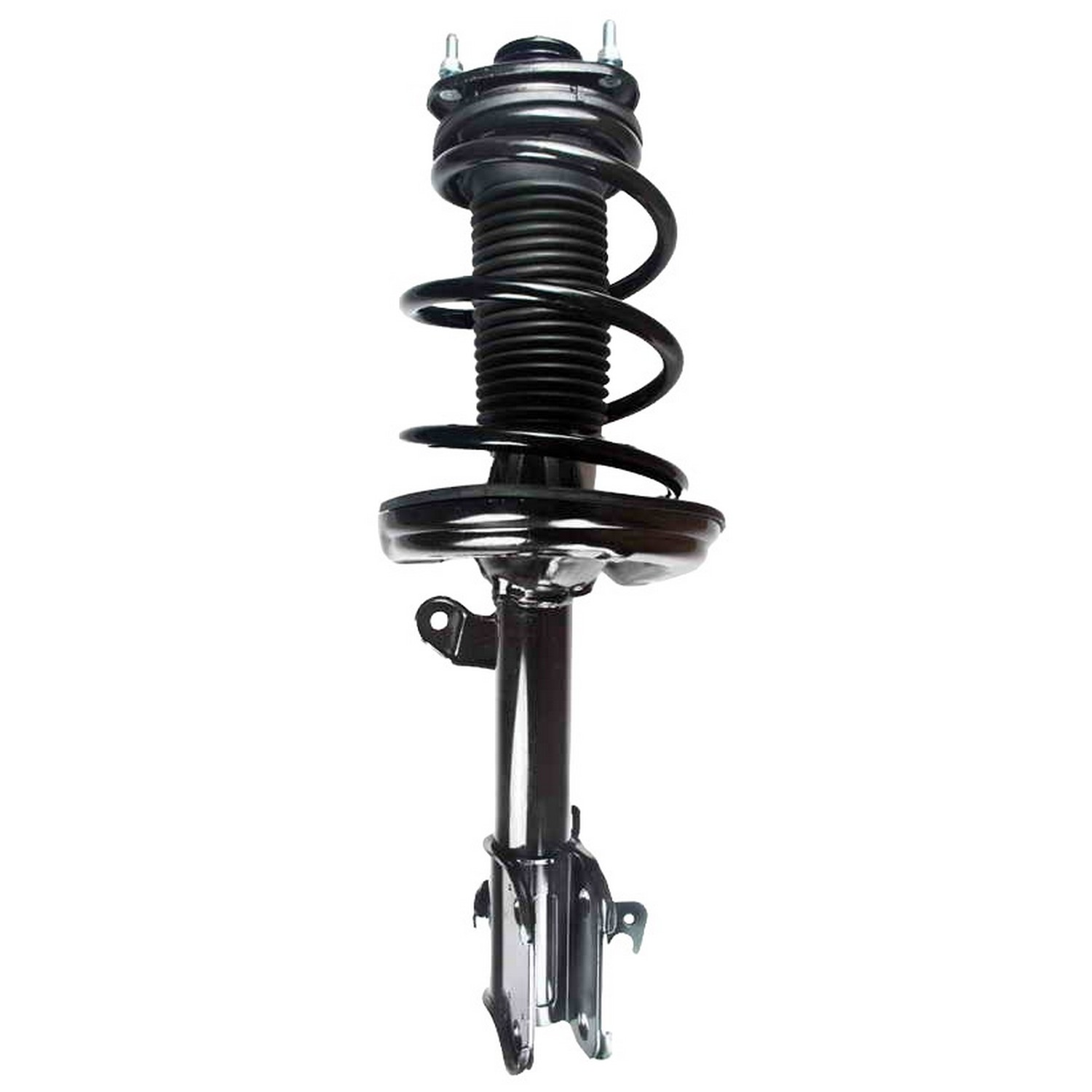 Suspension Strut and Coil Spring Assembly