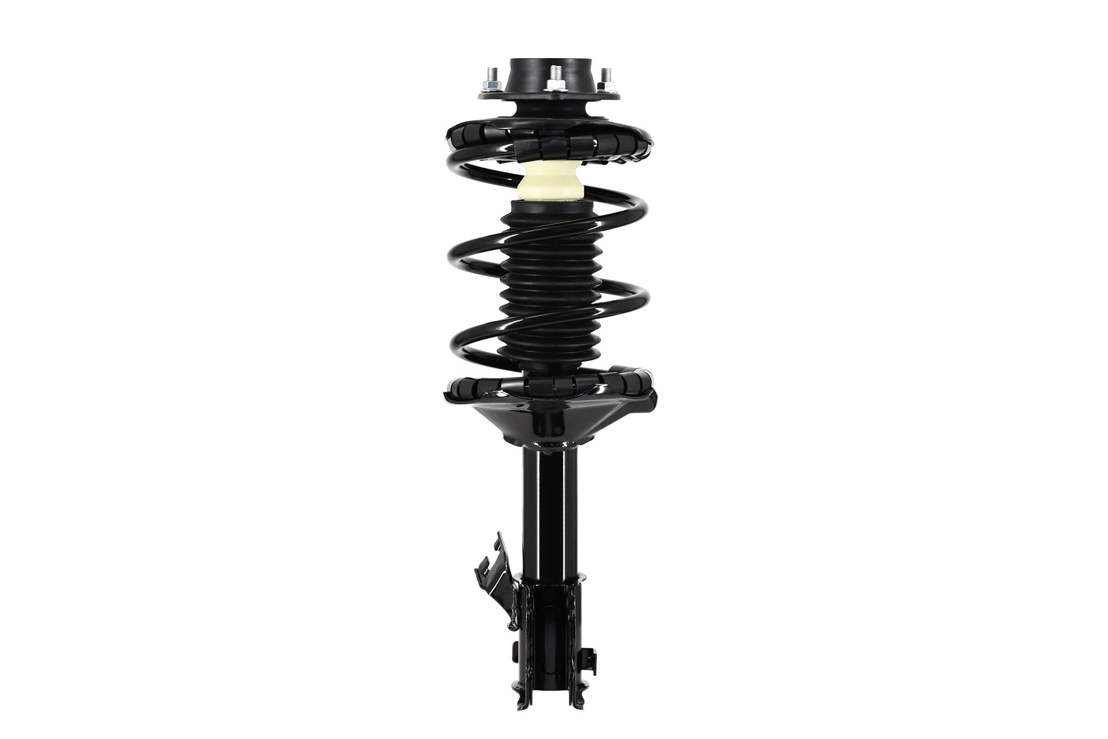 Suspension Strut and Coil Spring Assembly