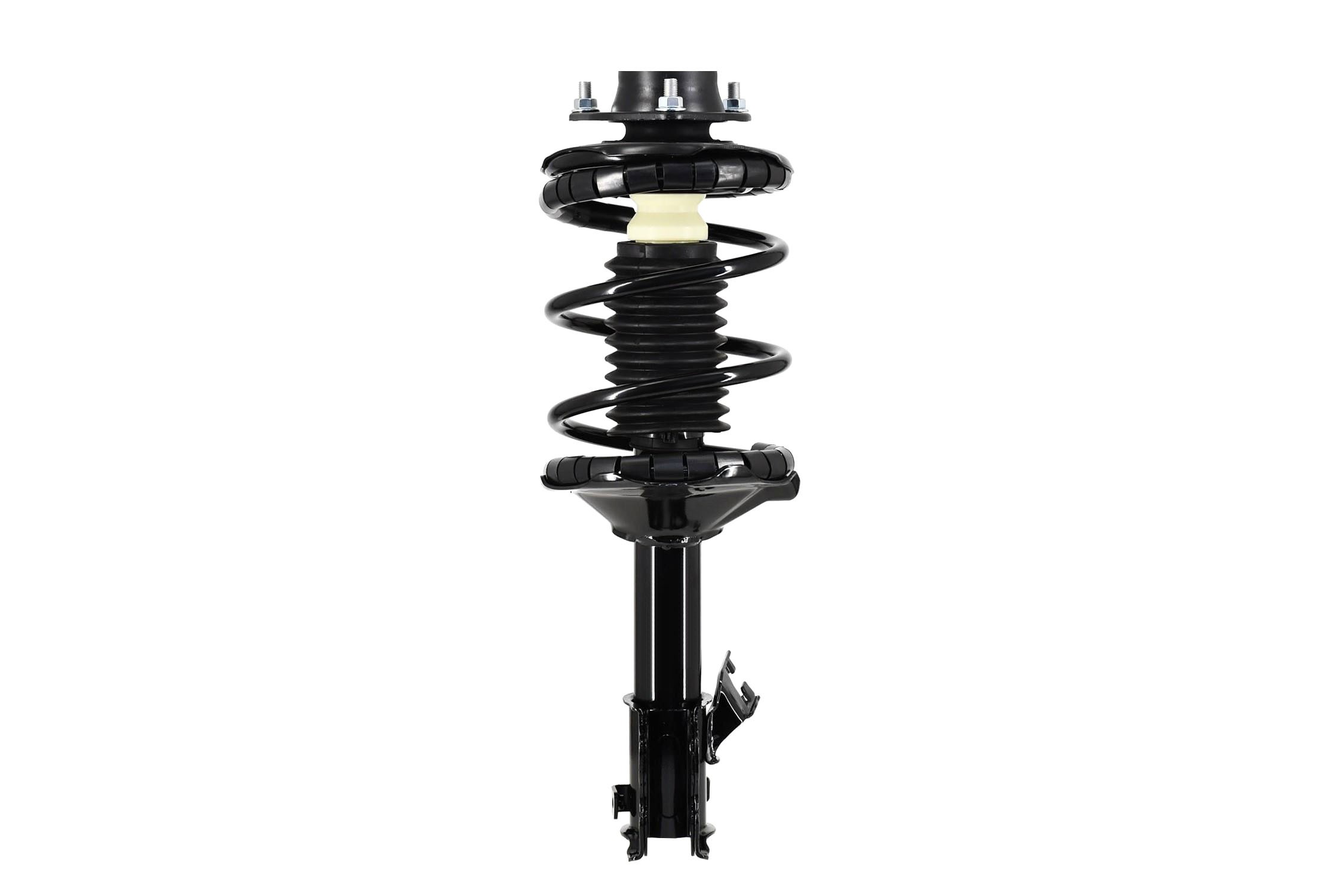 Suspension Strut and Coil Spring Assembly