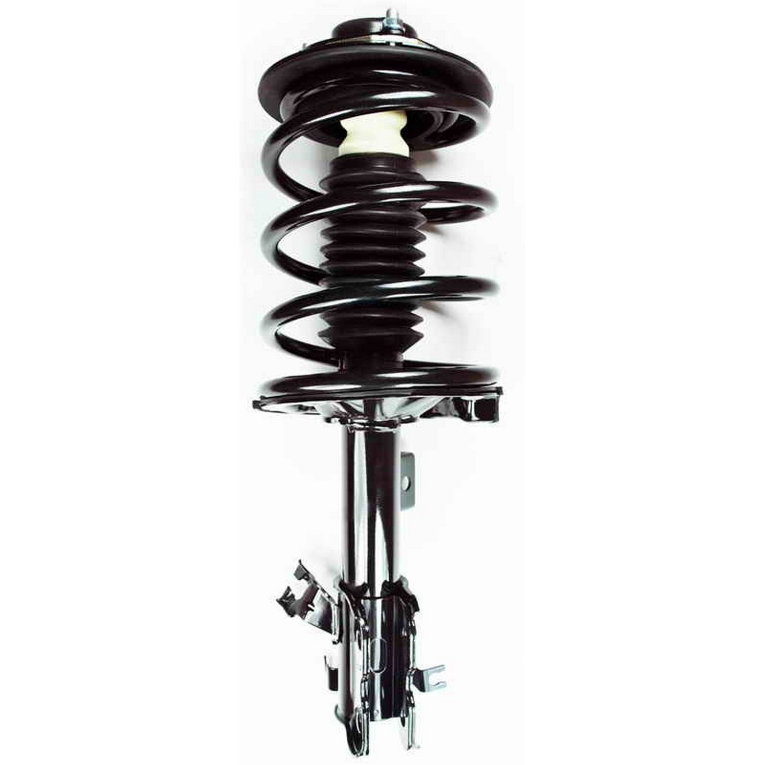 Suspension Strut and Coil Spring Assembly
