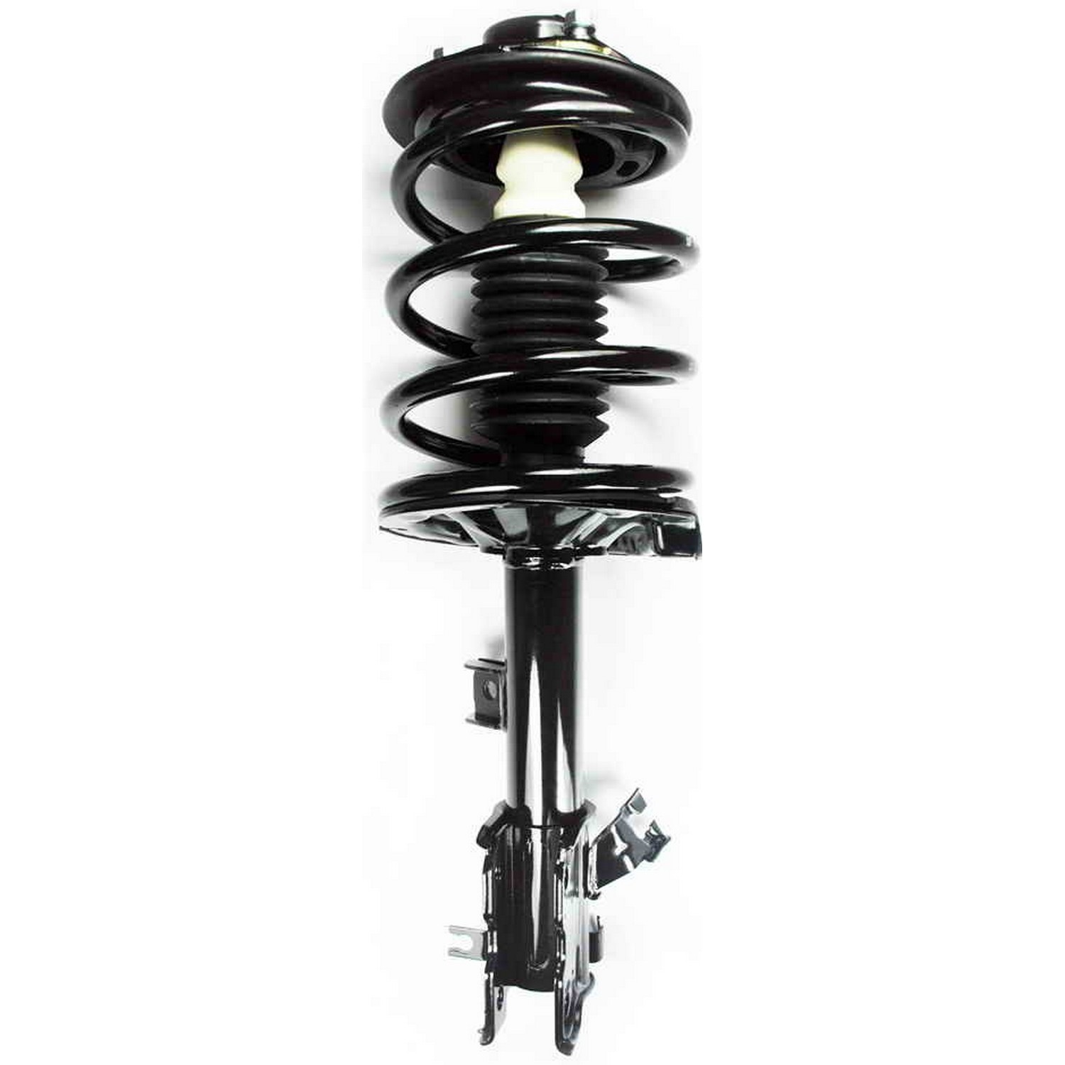 Suspension Strut and Coil Spring Assembly