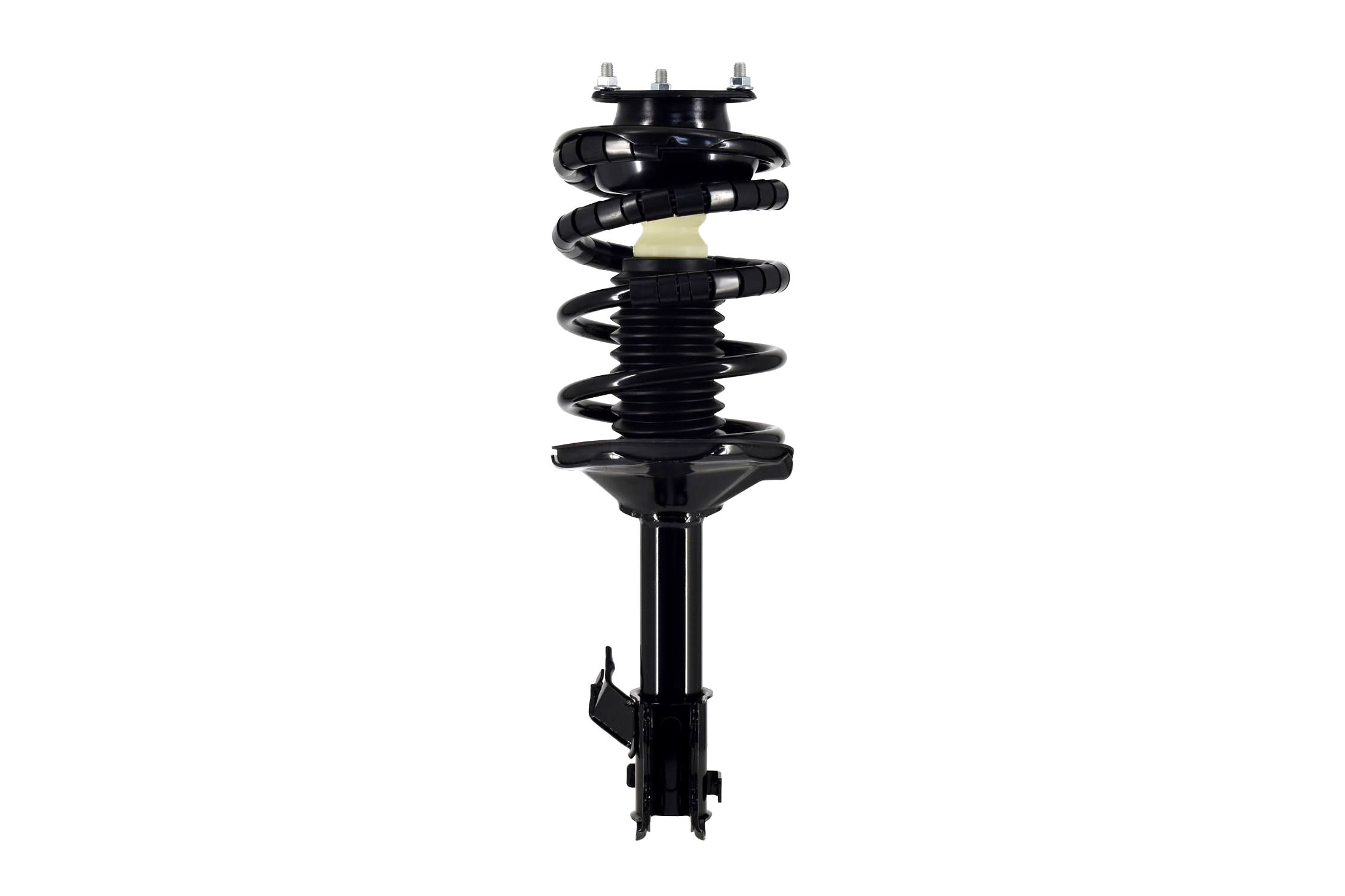 Suspension Strut and Coil Spring Assembly