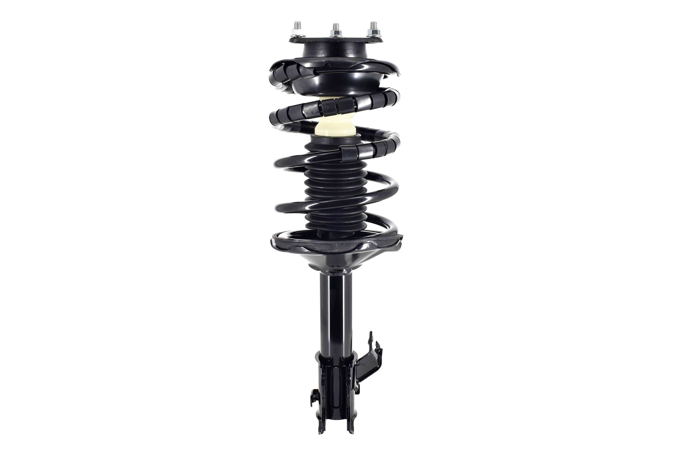 Suspension Strut and Coil Spring Assembly