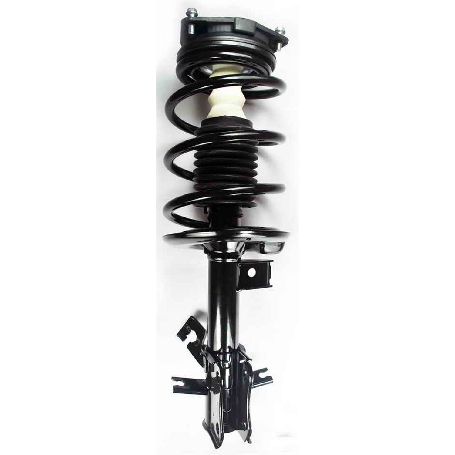 Suspension Strut and Coil Spring Assembly
