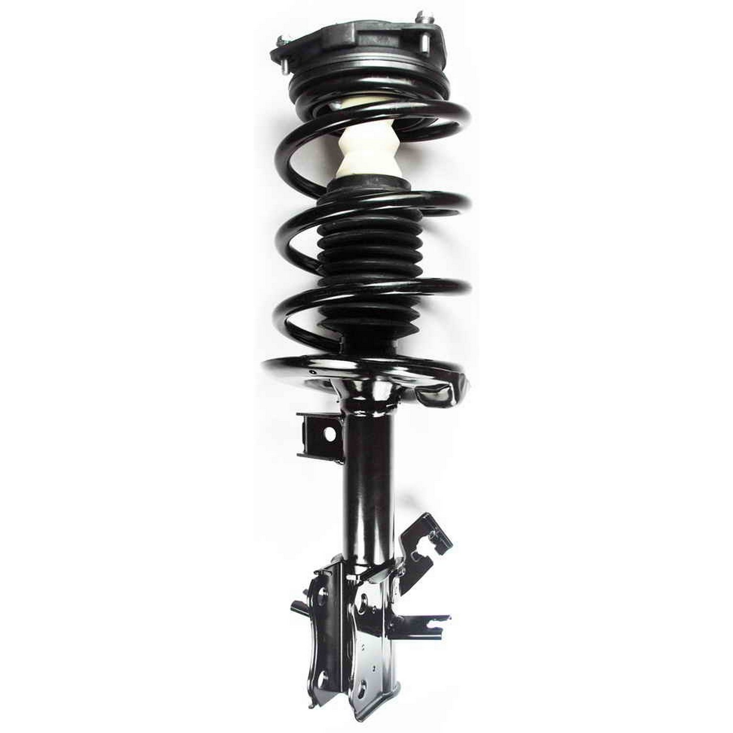 Suspension Strut and Coil Spring Assembly