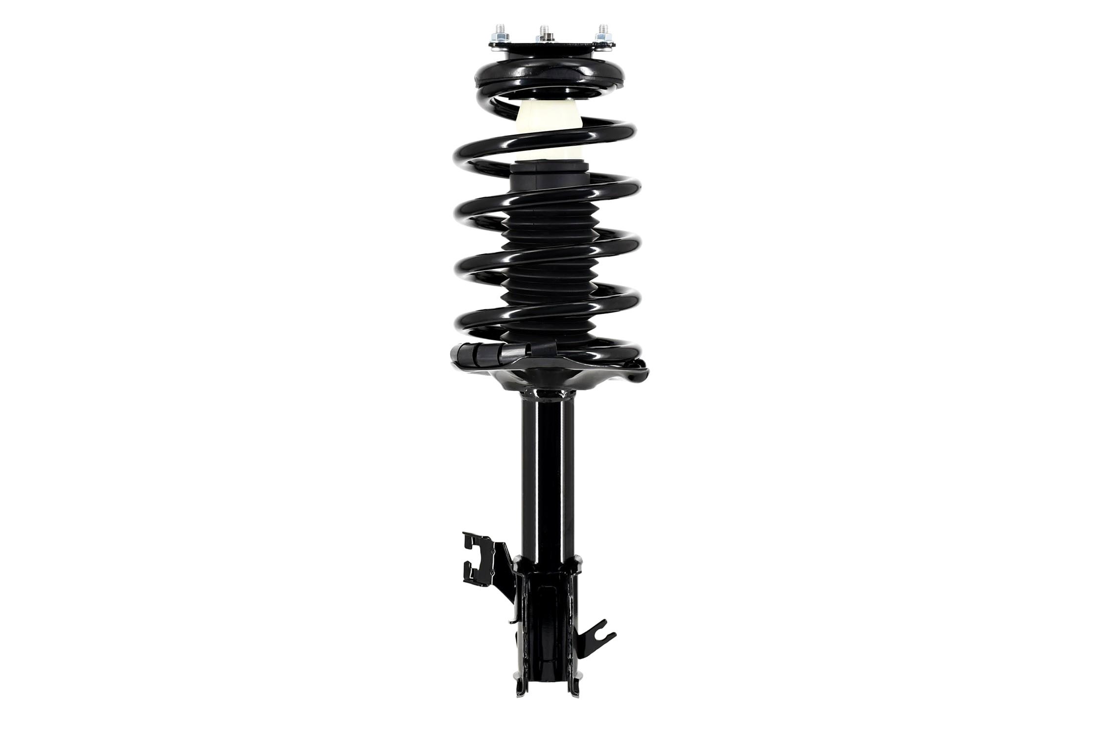 Suspension Strut and Coil Spring Assembly