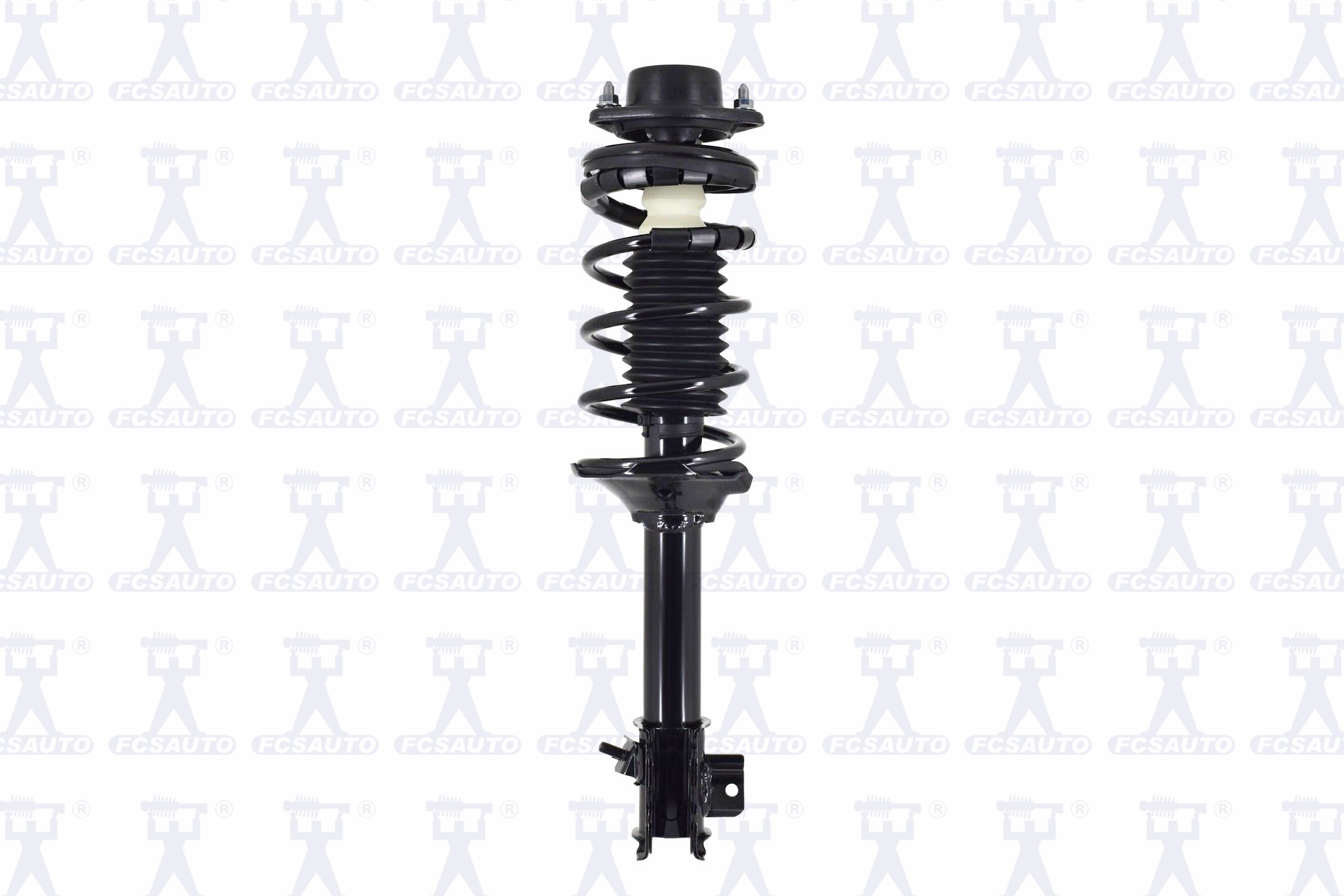 Suspension Strut and Coil Spring Assembly