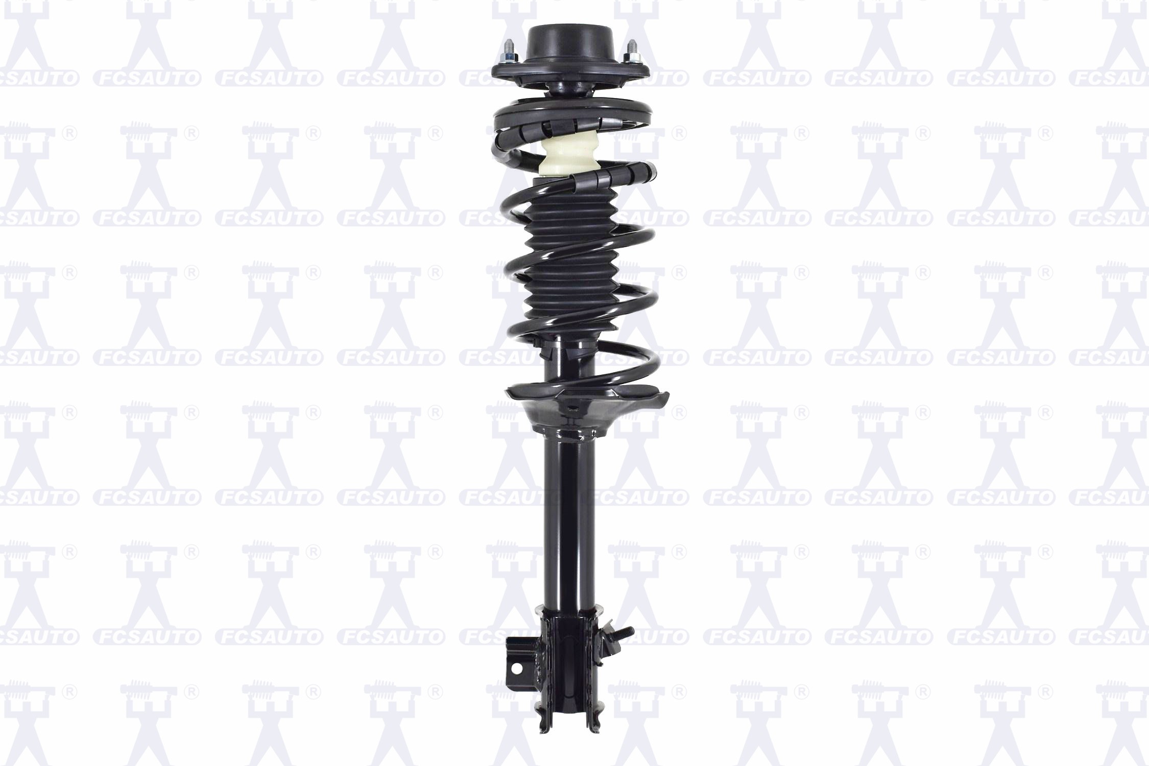 Suspension Strut and Coil Spring Assembly