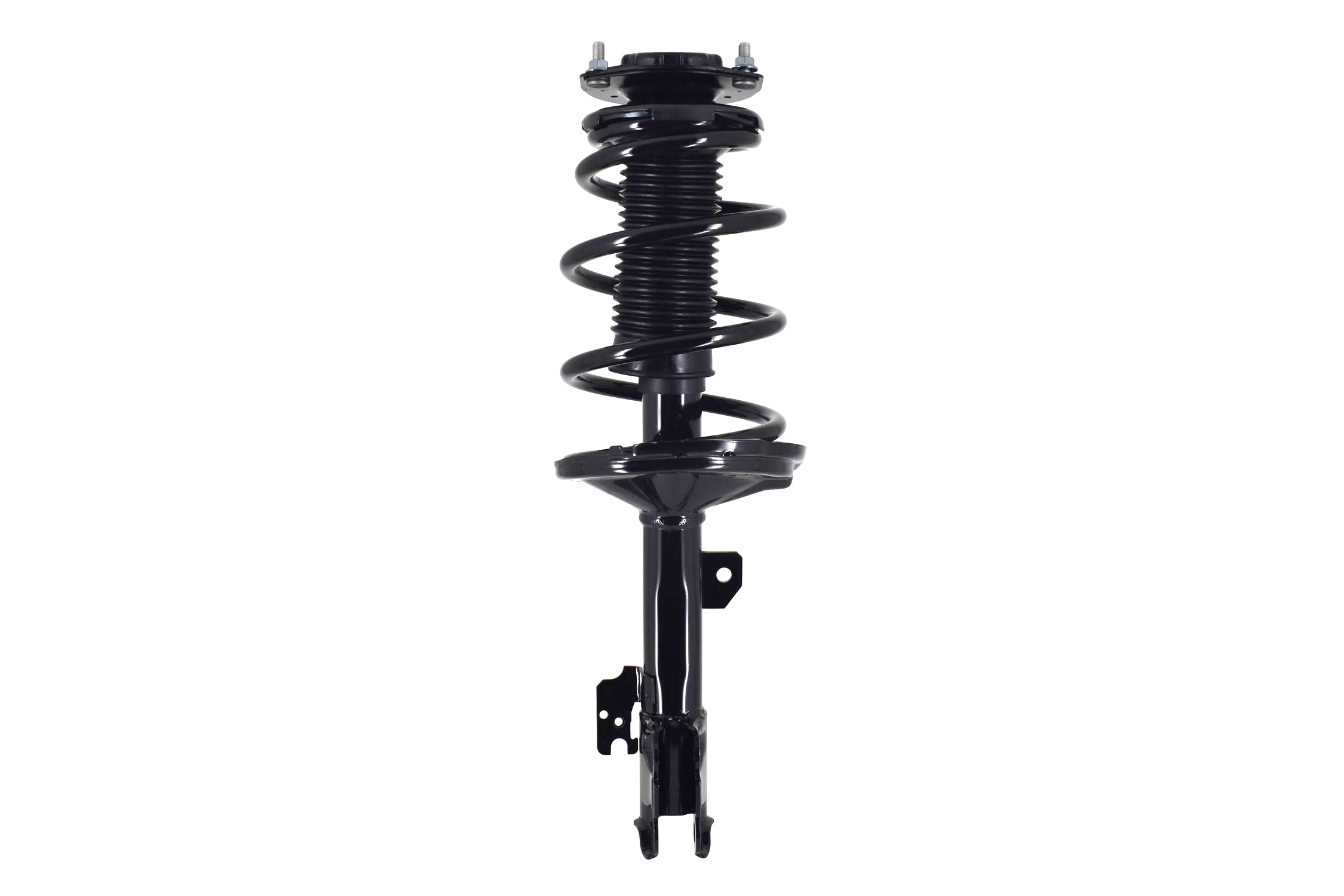 Suspension Strut and Coil Spring Assembly