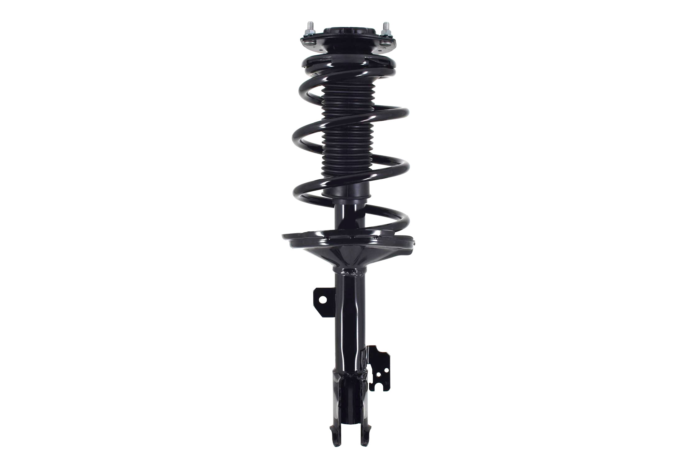 Suspension Strut and Coil Spring Assembly