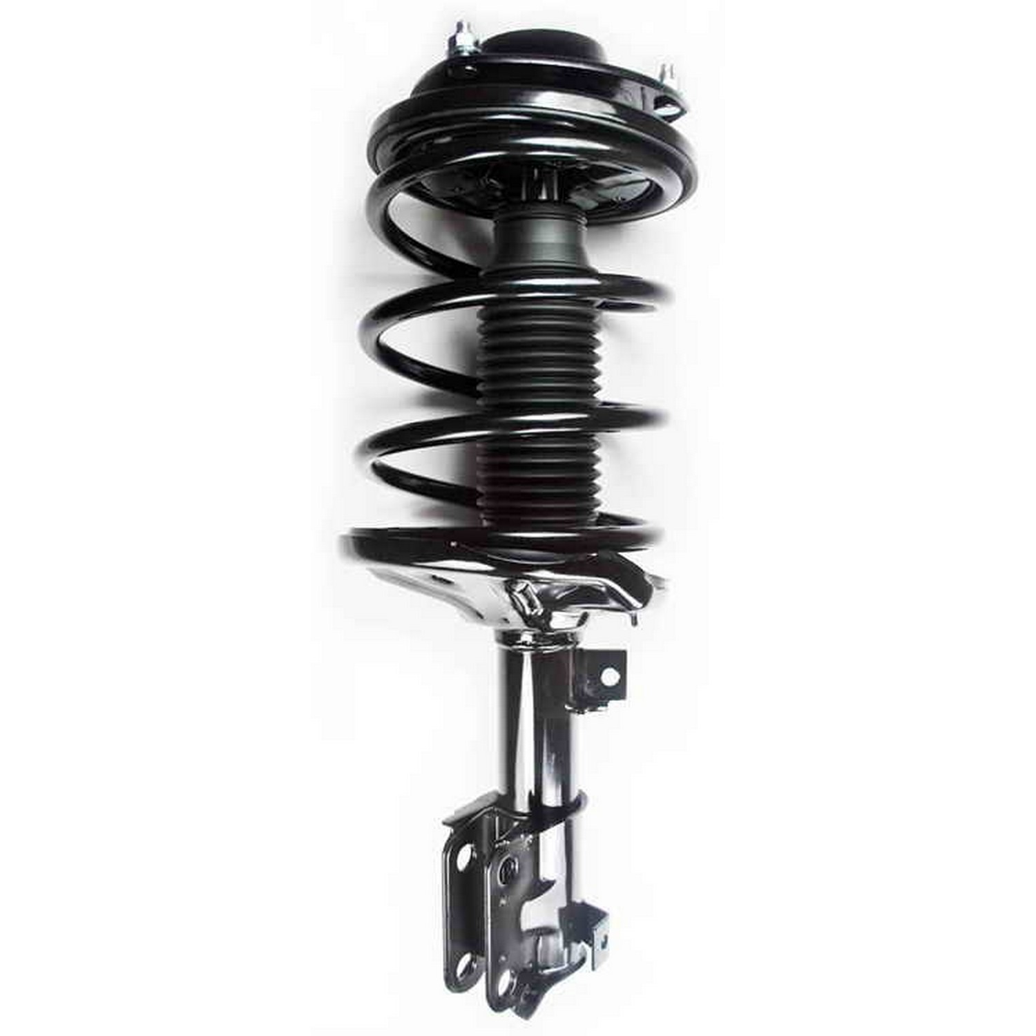 Suspension Strut and Coil Spring Assembly