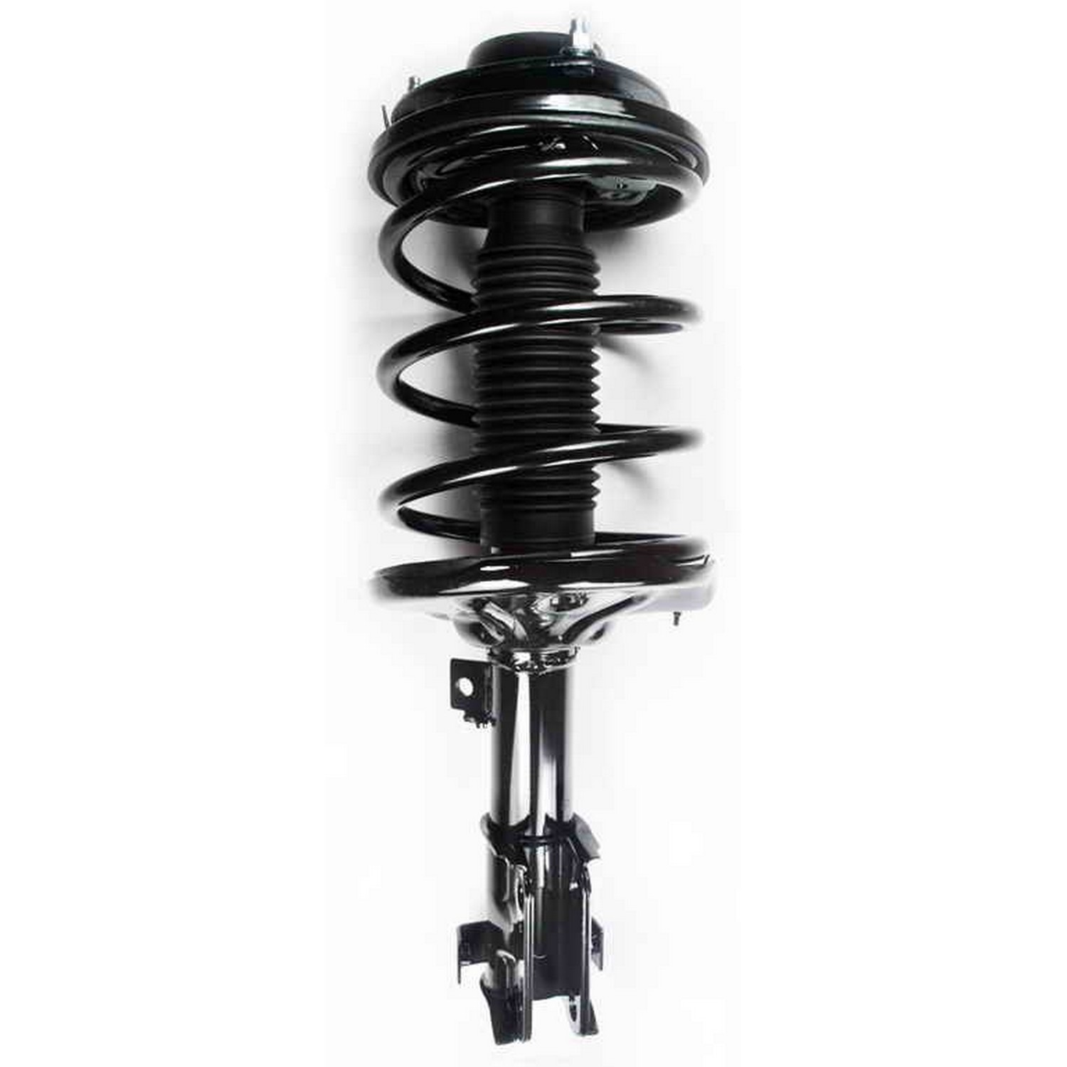 Suspension Strut and Coil Spring Assembly