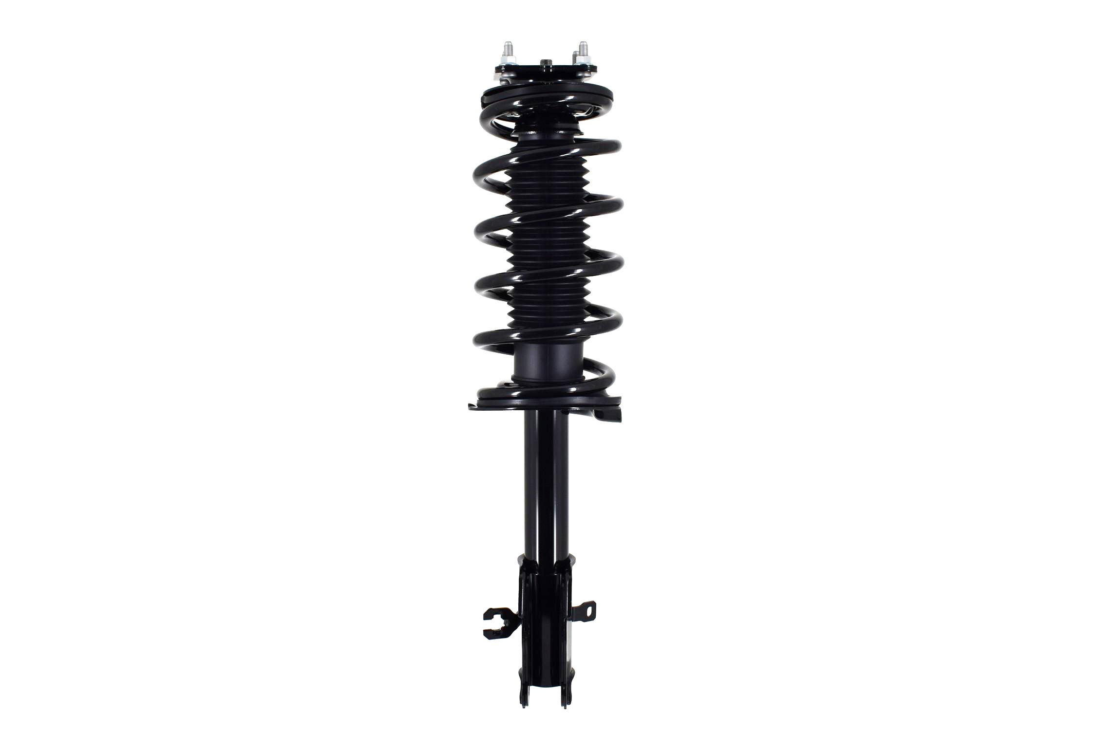 Suspension Strut and Coil Spring Assembly