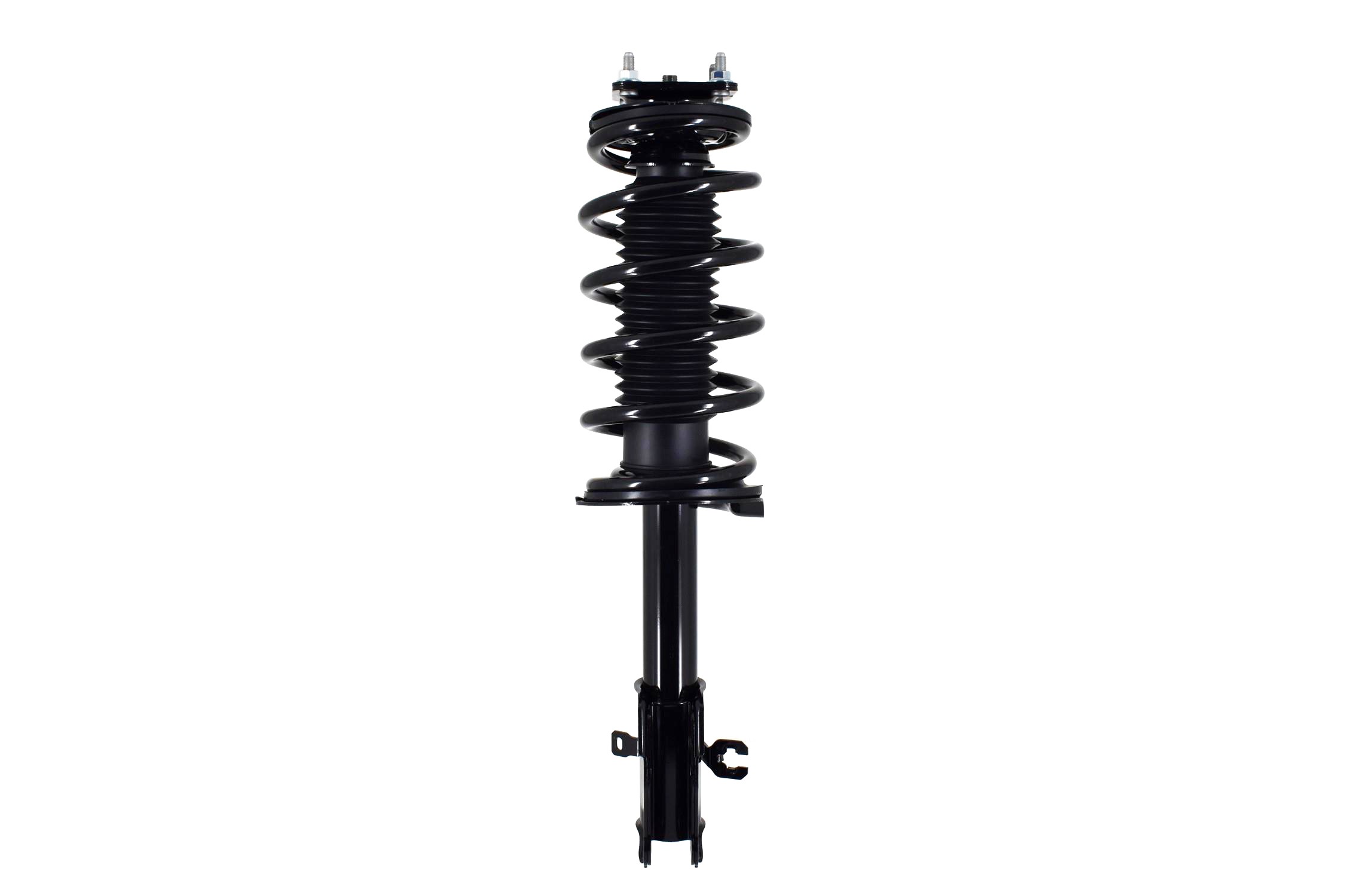 Suspension Strut and Coil Spring Assembly